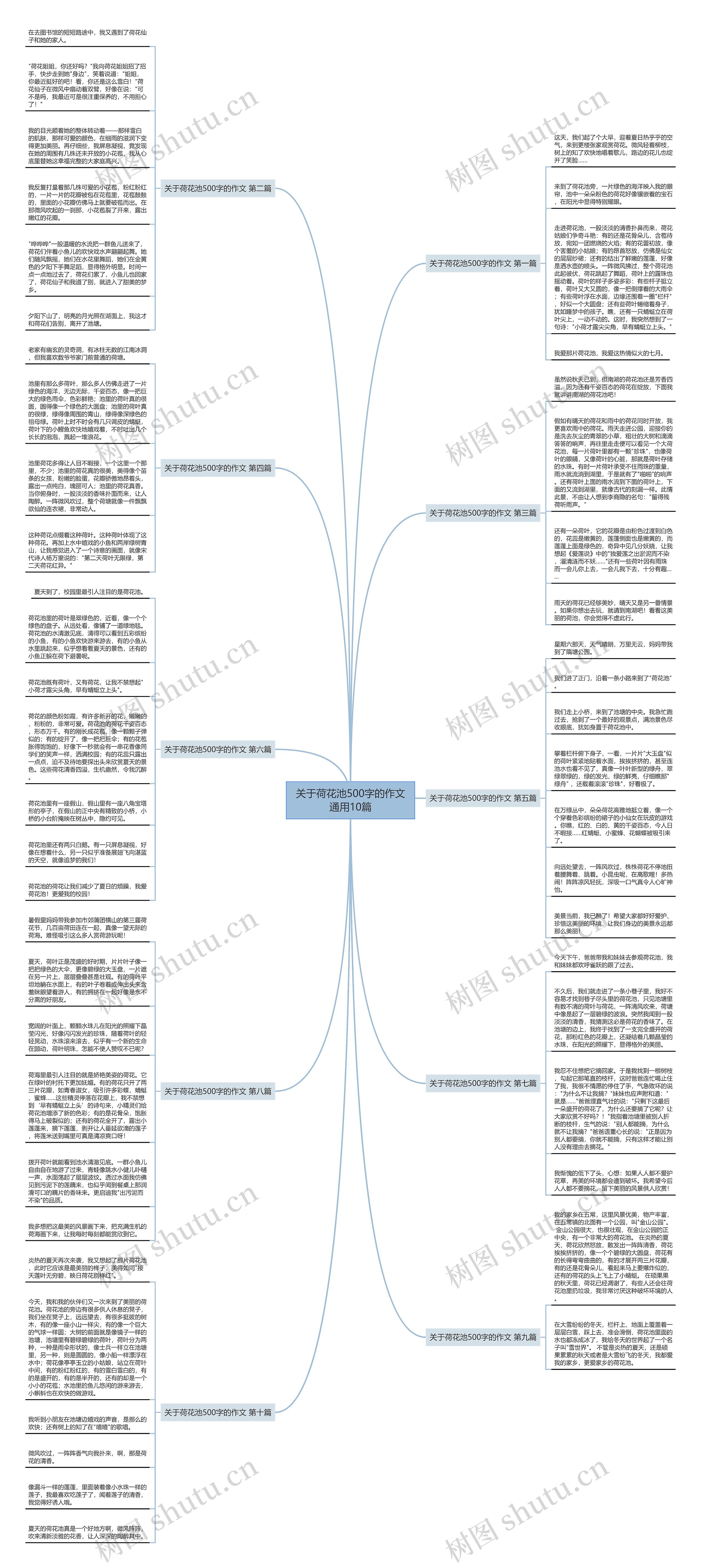 关于荷花池500字的作文通用10篇思维导图