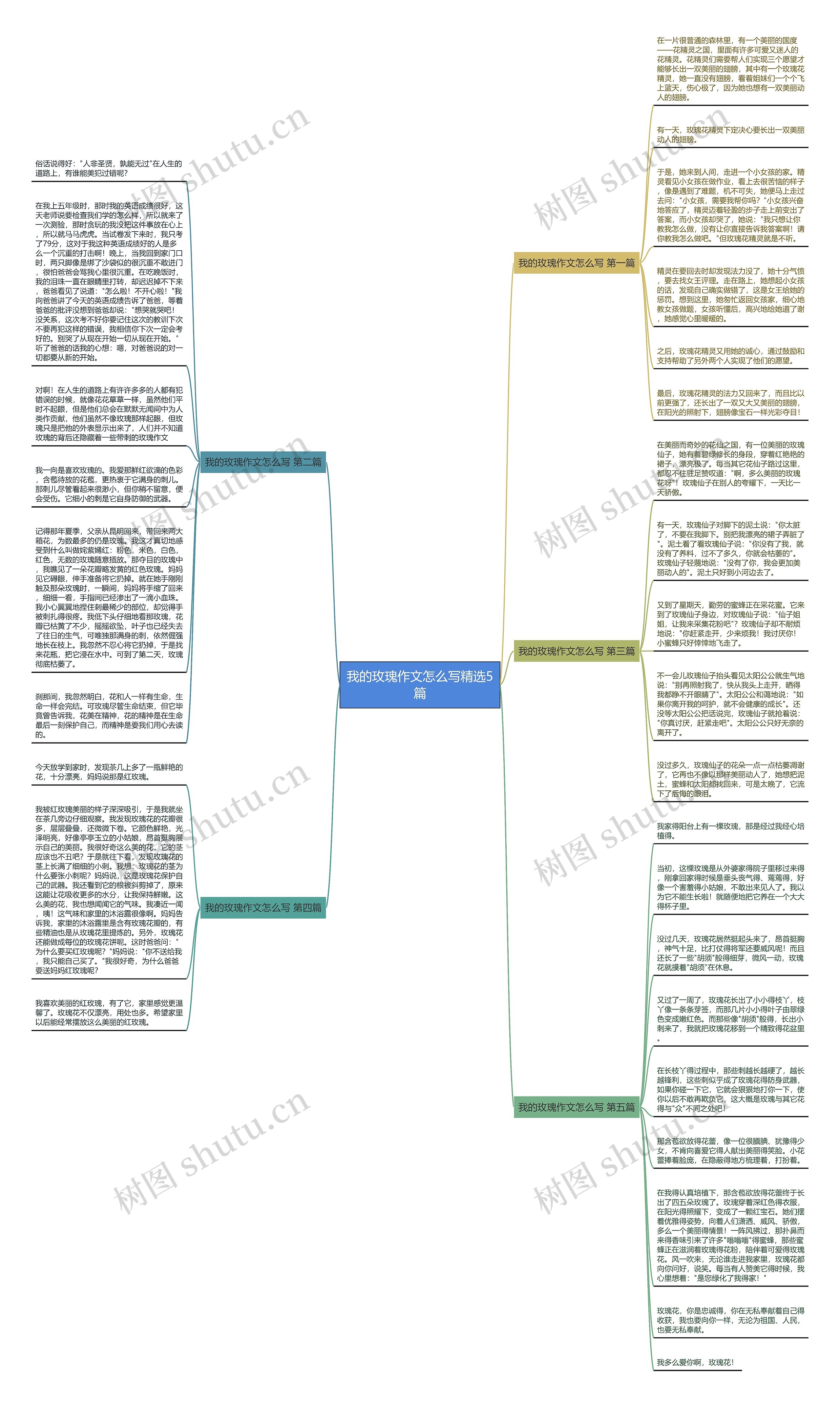 我的玫瑰作文怎么写精选5篇思维导图