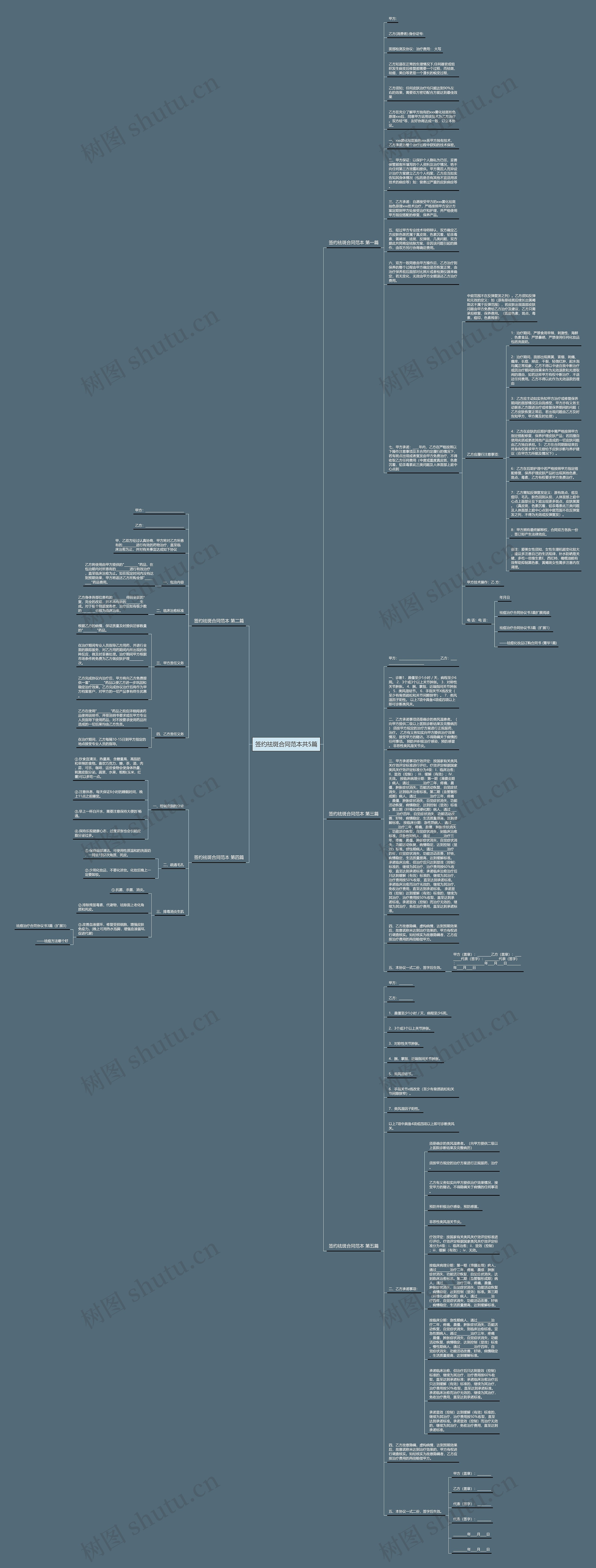 签约祛斑合同范本共5篇思维导图