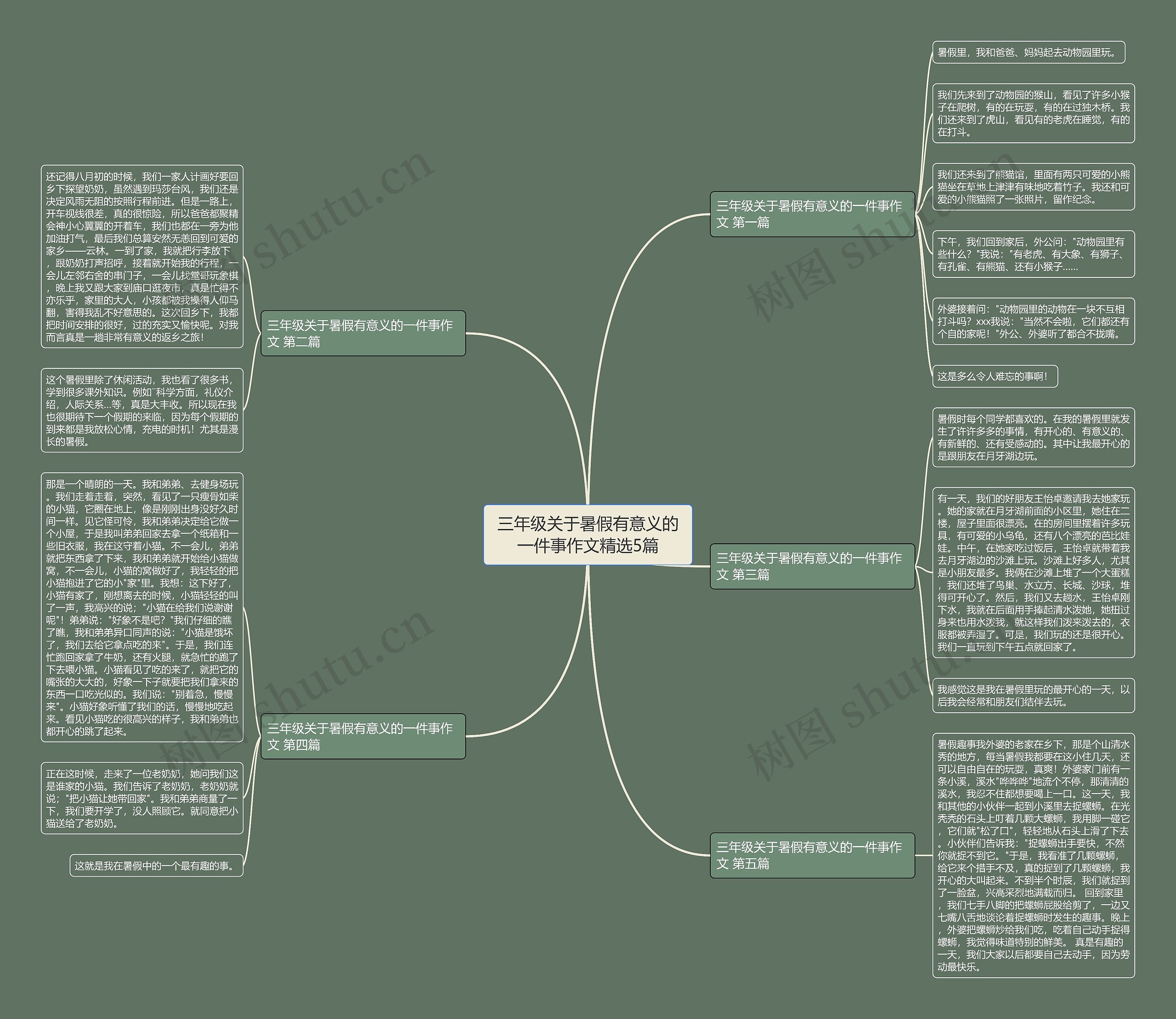 三年级关于暑假有意义的一件事作文精选5篇思维导图