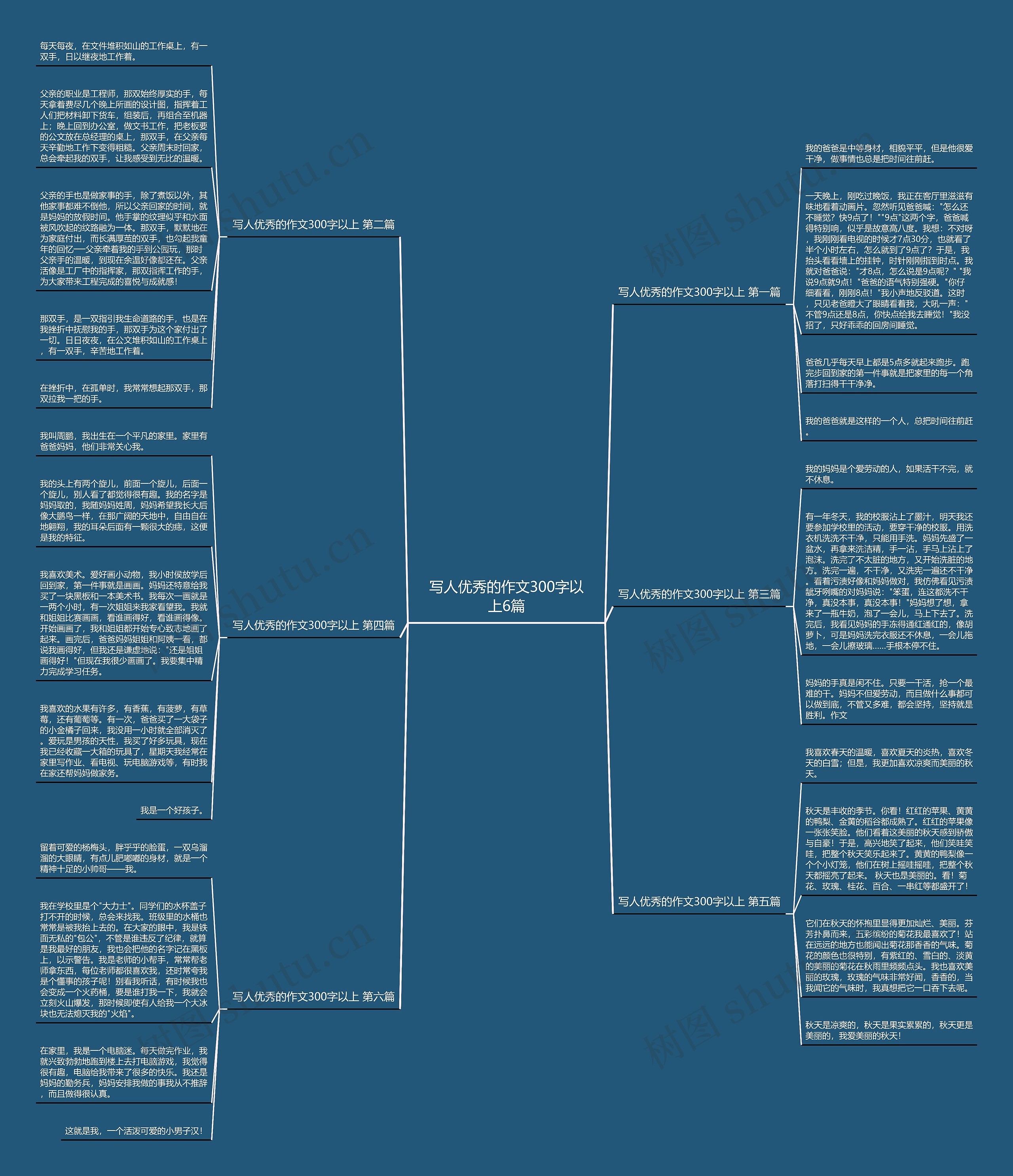 写人优秀的作文300字以上6篇思维导图