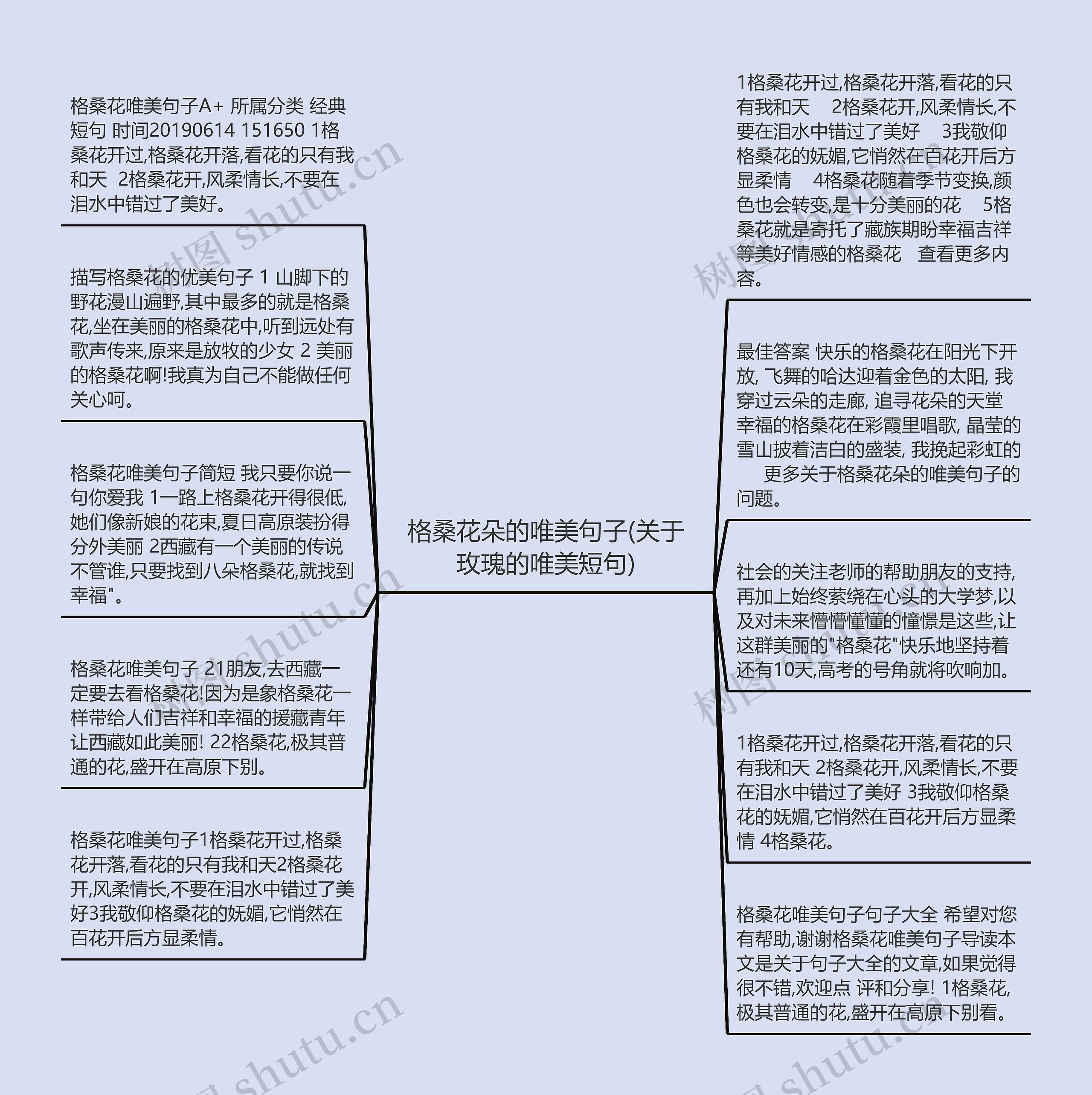 格桑花朵的唯美句子(关于玫瑰的唯美短句)思维导图