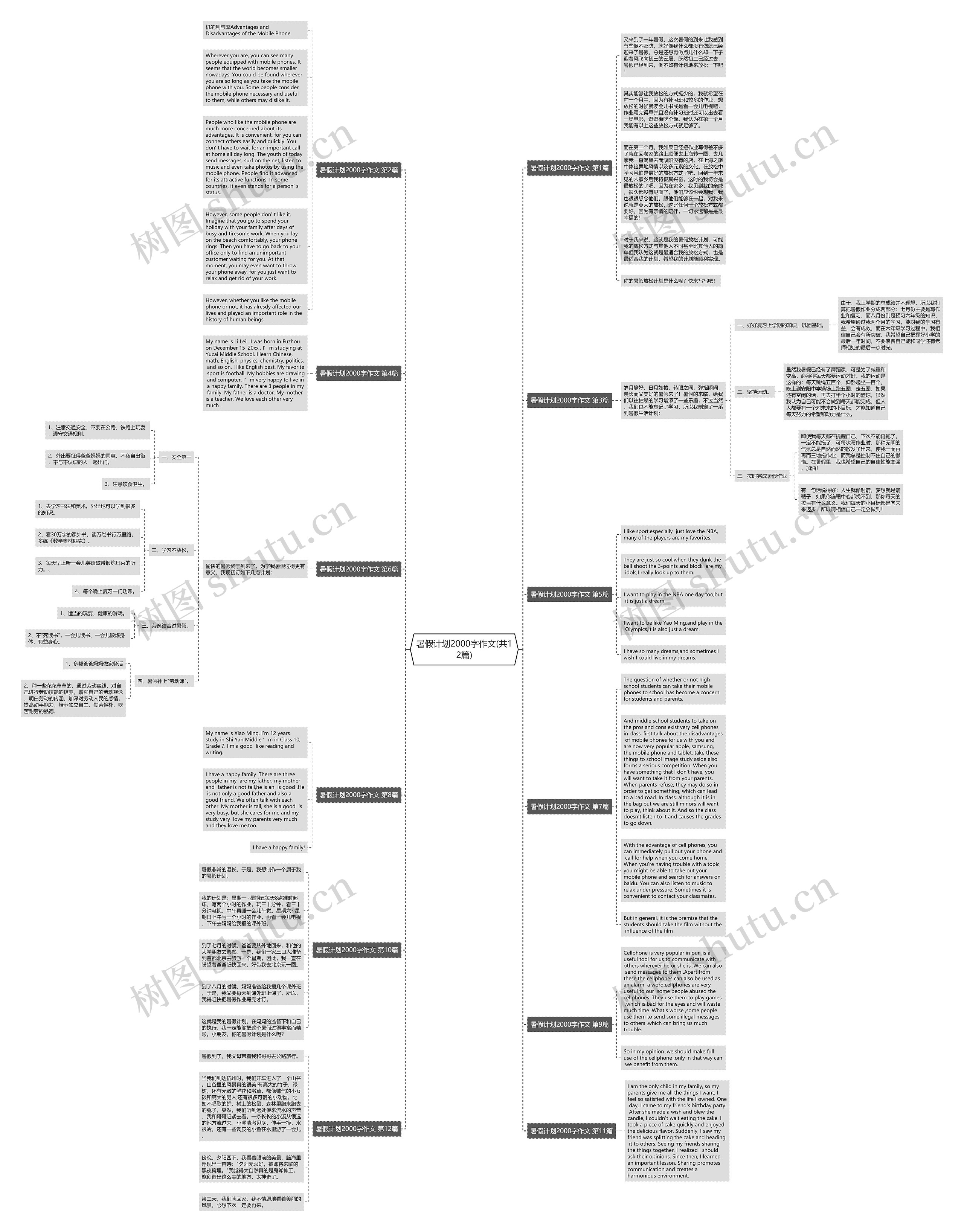 暑假计划2000字作文(共12篇)思维导图