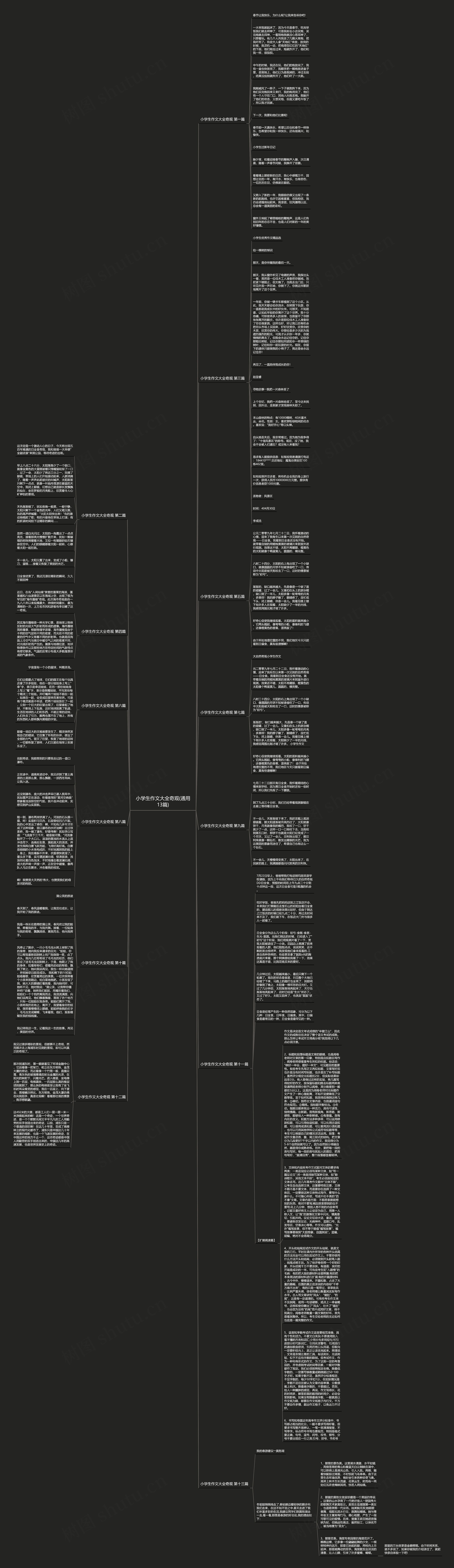 小学生作文大全奇观(通用13篇)思维导图