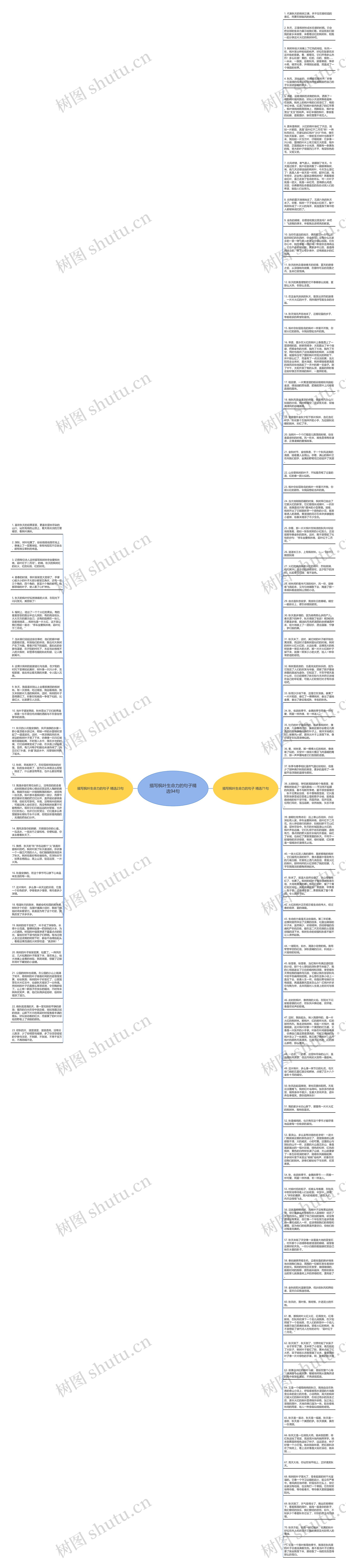 描写枫叶生命力的句子精选94句思维导图