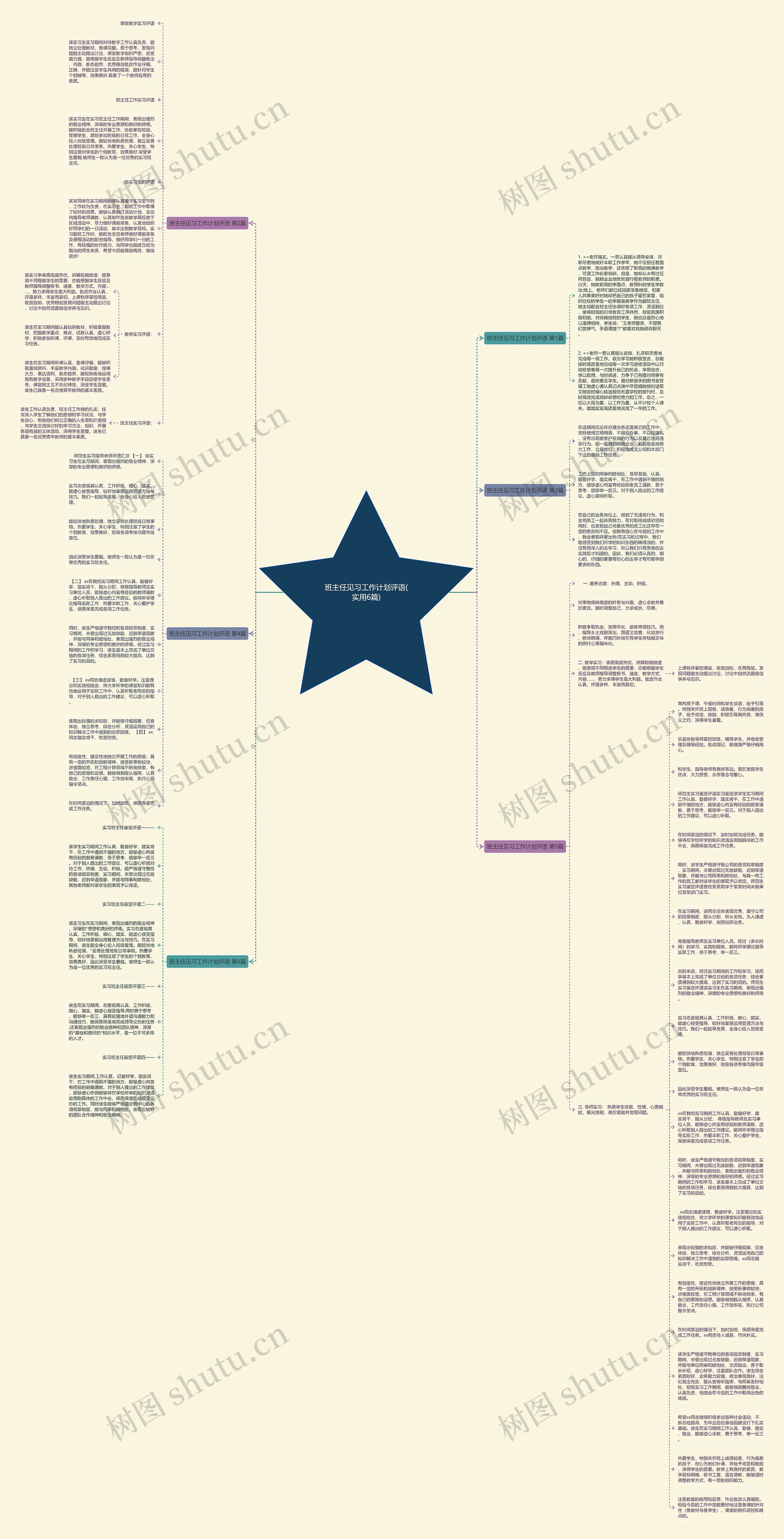 班主任见习工作计划评语(实用6篇)思维导图
