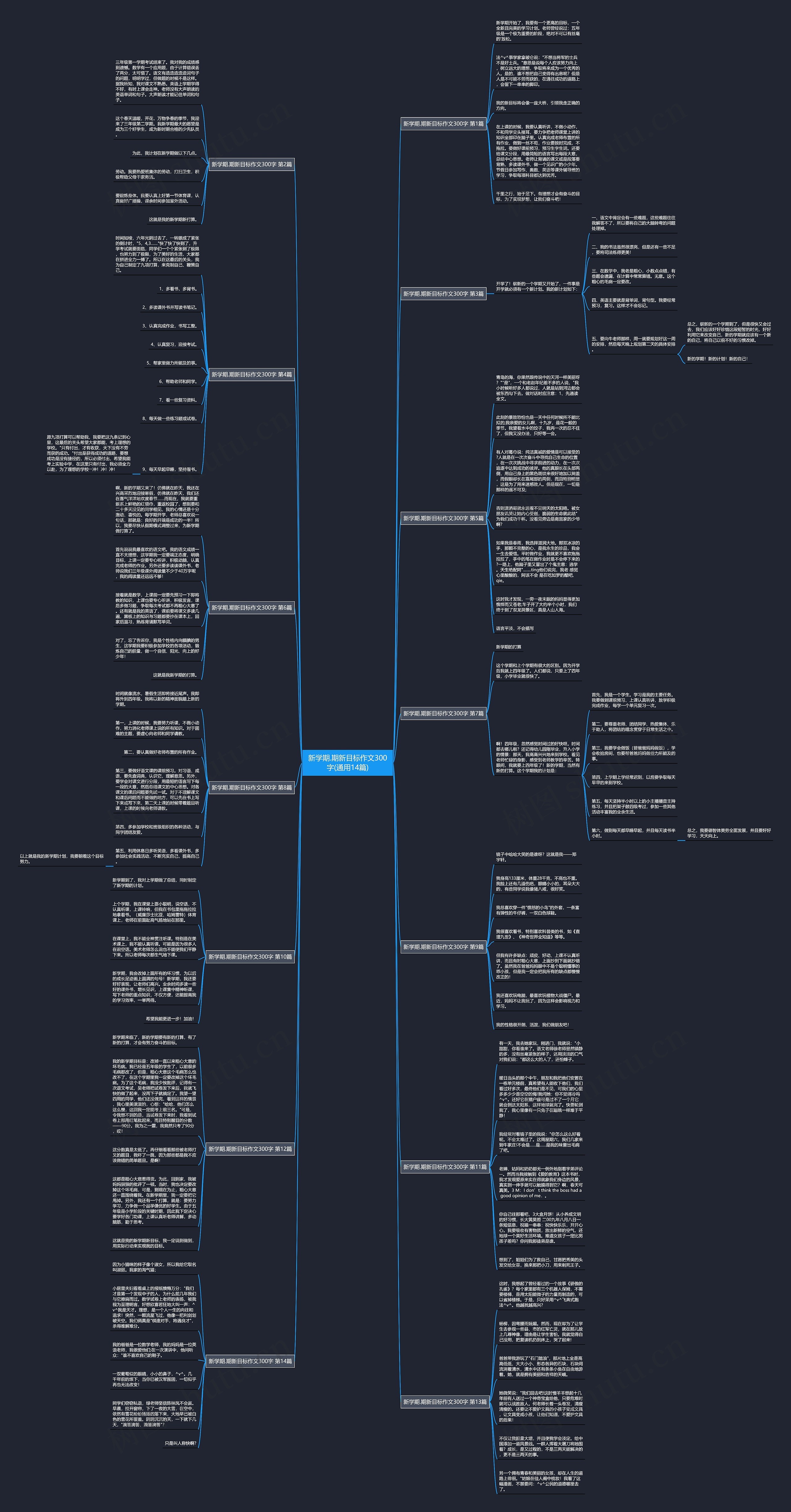 新学期.期新目标作文300字(通用14篇)思维导图
