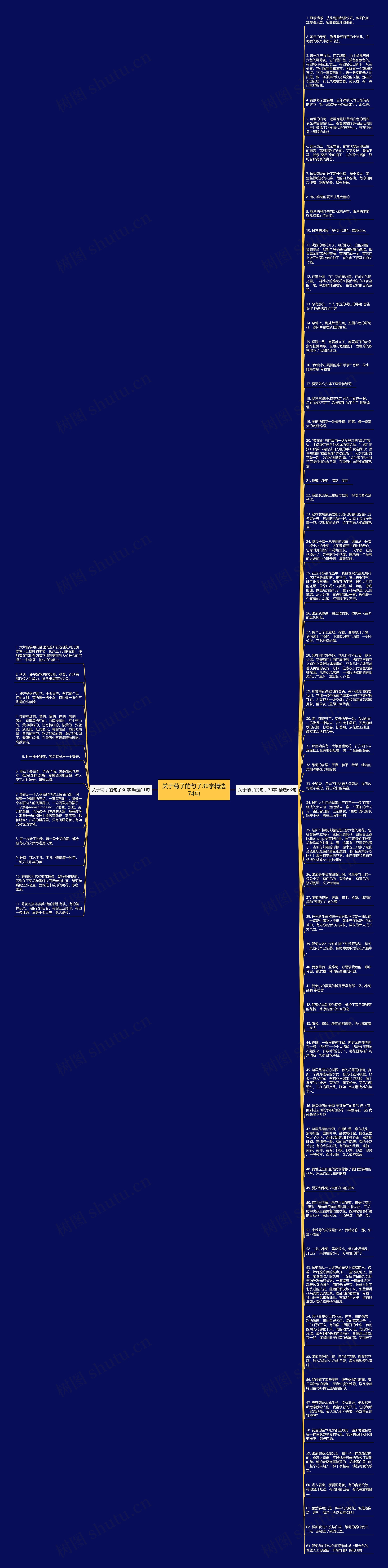 关于菊子的句子30字精选74句思维导图