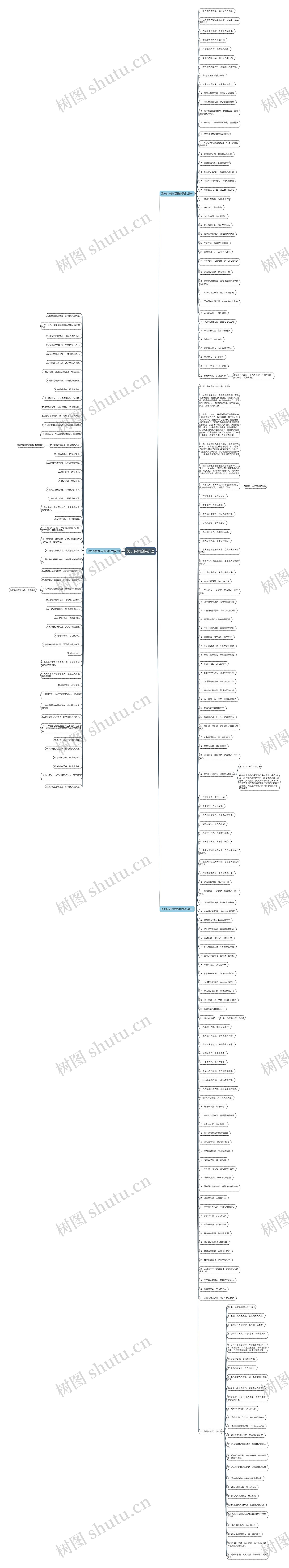 关于森林的保护语 关于森林的保护语