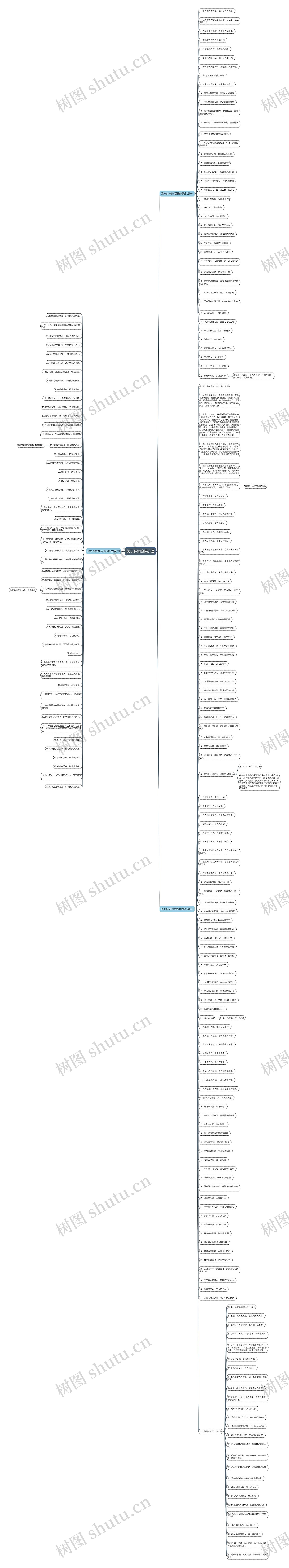 关于森林的保护语思维导图