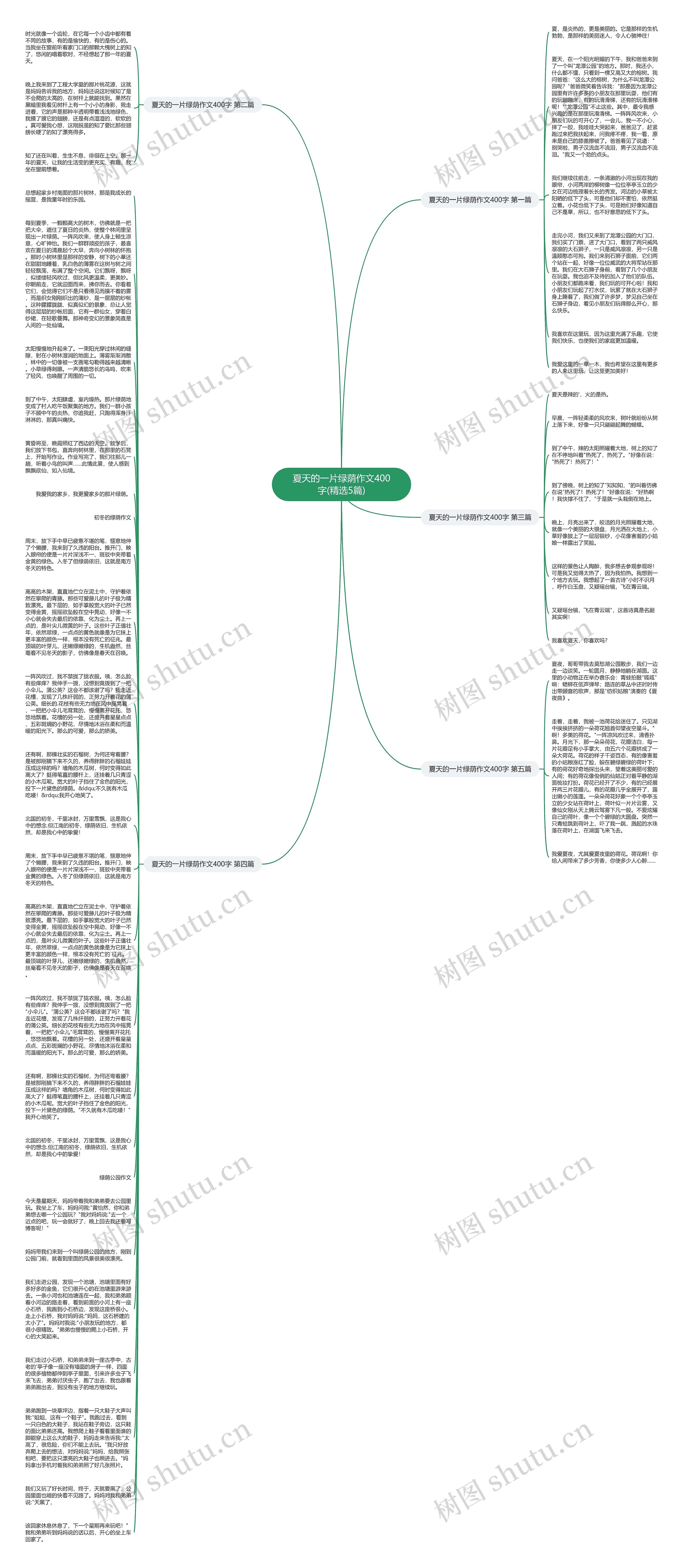 夏天的一片绿荫作文400字(精选5篇)思维导图