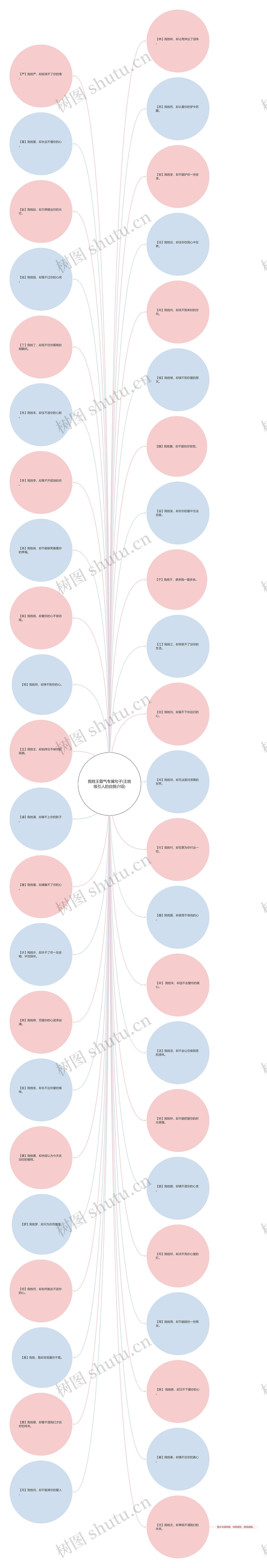 我姓王霸气专属句子(王姓吸引人的自我介绍)思维导图