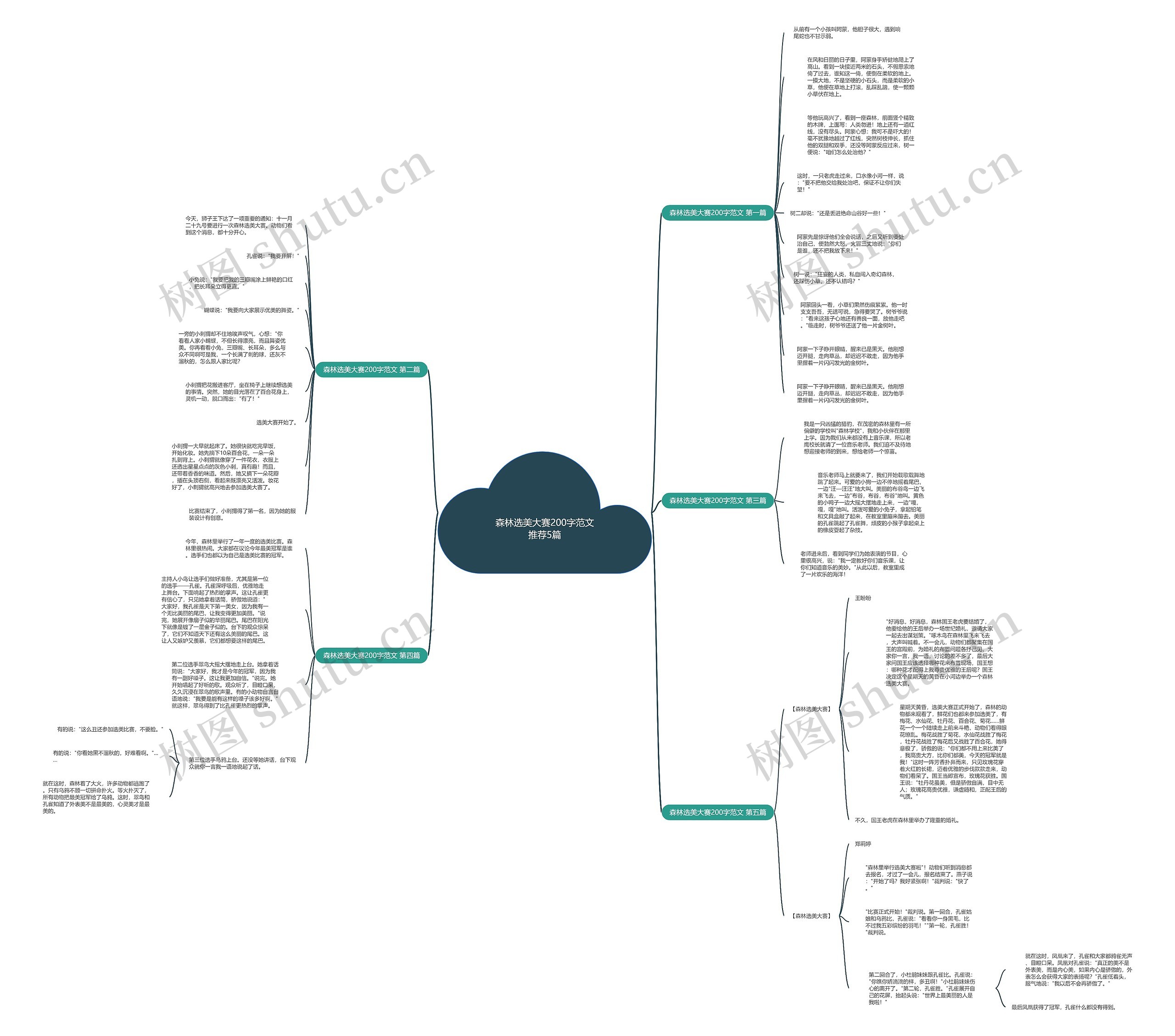 森林选美大赛200字范文推荐5篇思维导图