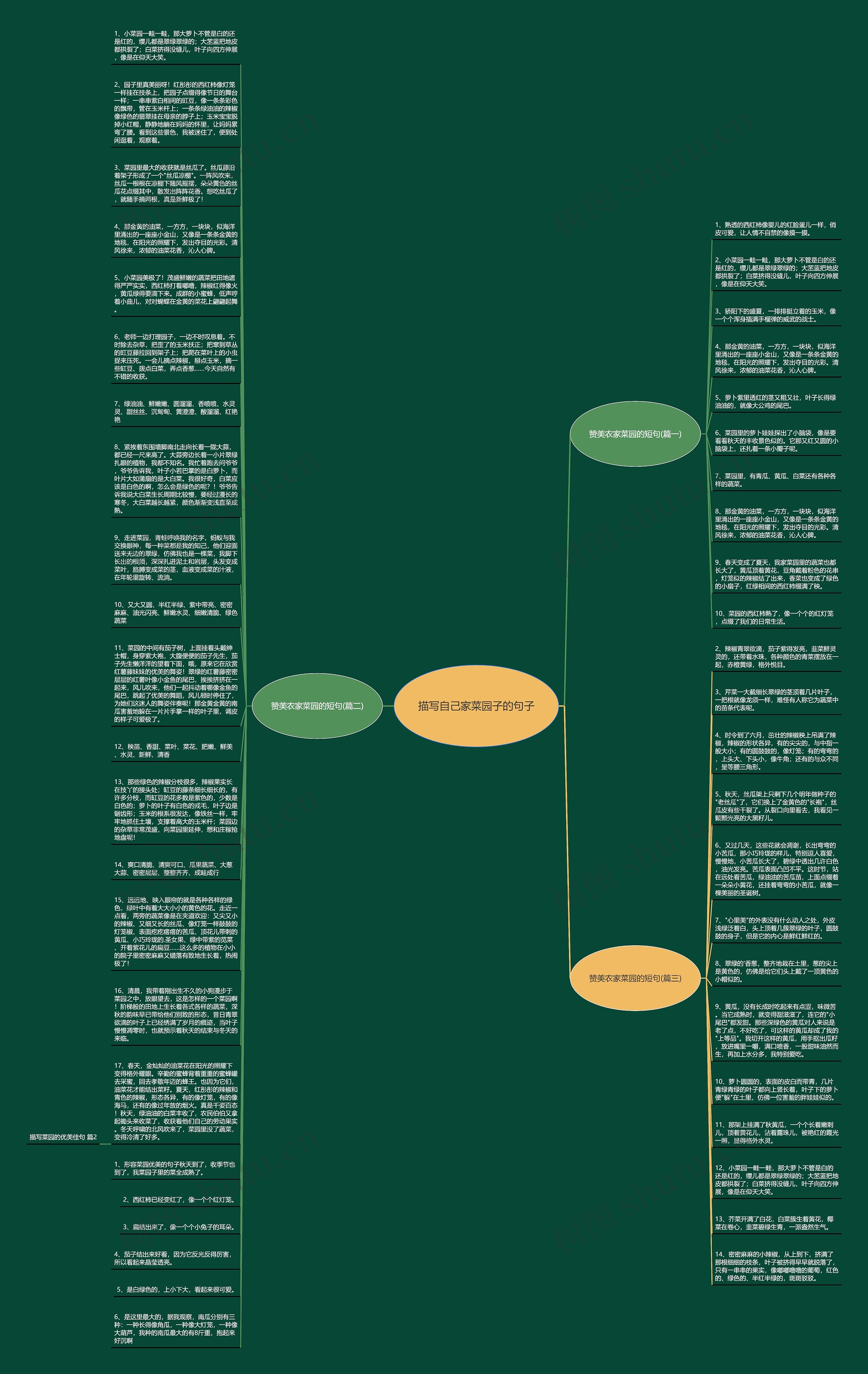 描写自己家菜园子的句子思维导图