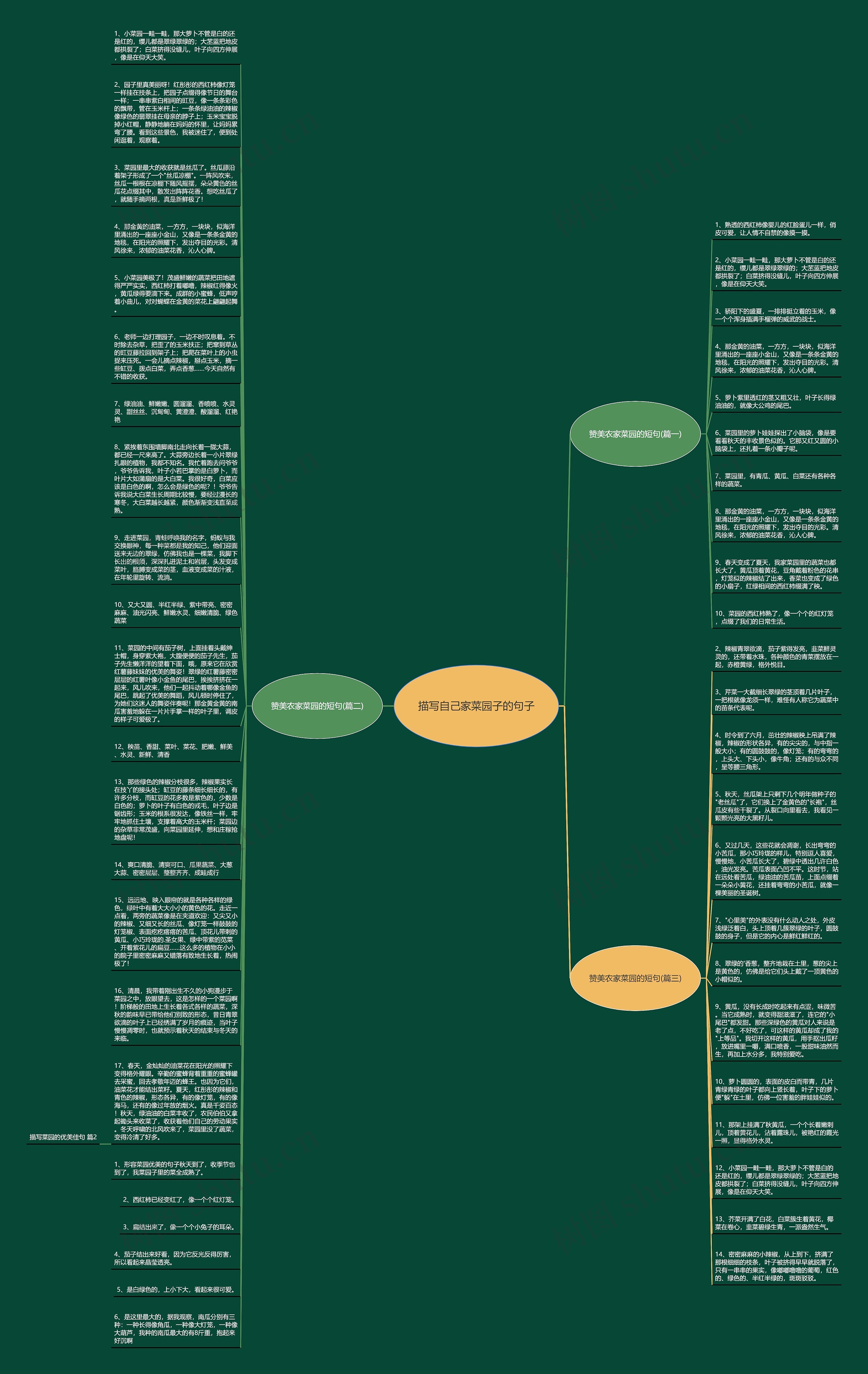描写自己家菜园子的句子思维导图高清图 描写自己家菜园子的句子思维导图