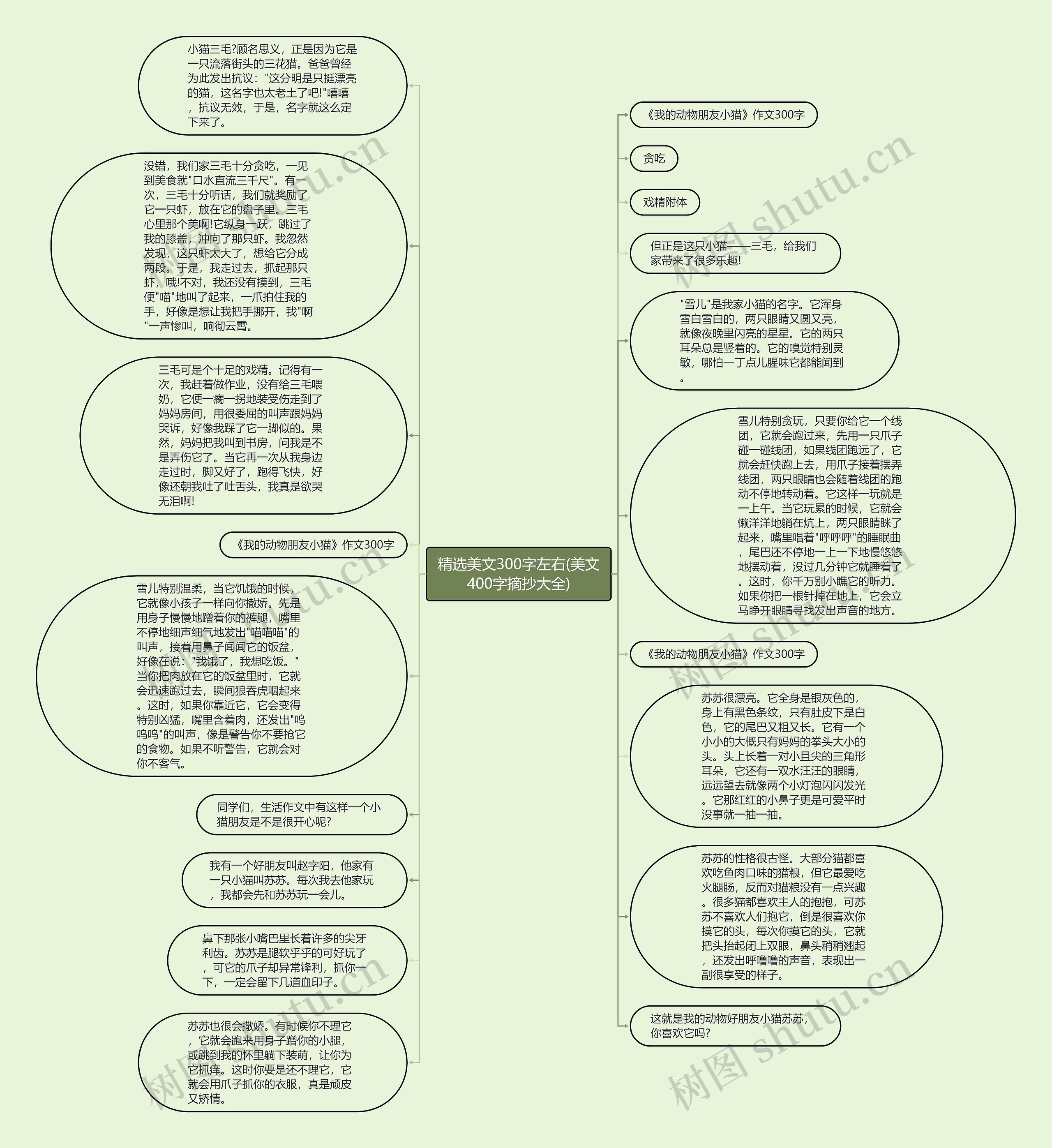 精选美文300字左右(美文400字摘抄大全)思维导图