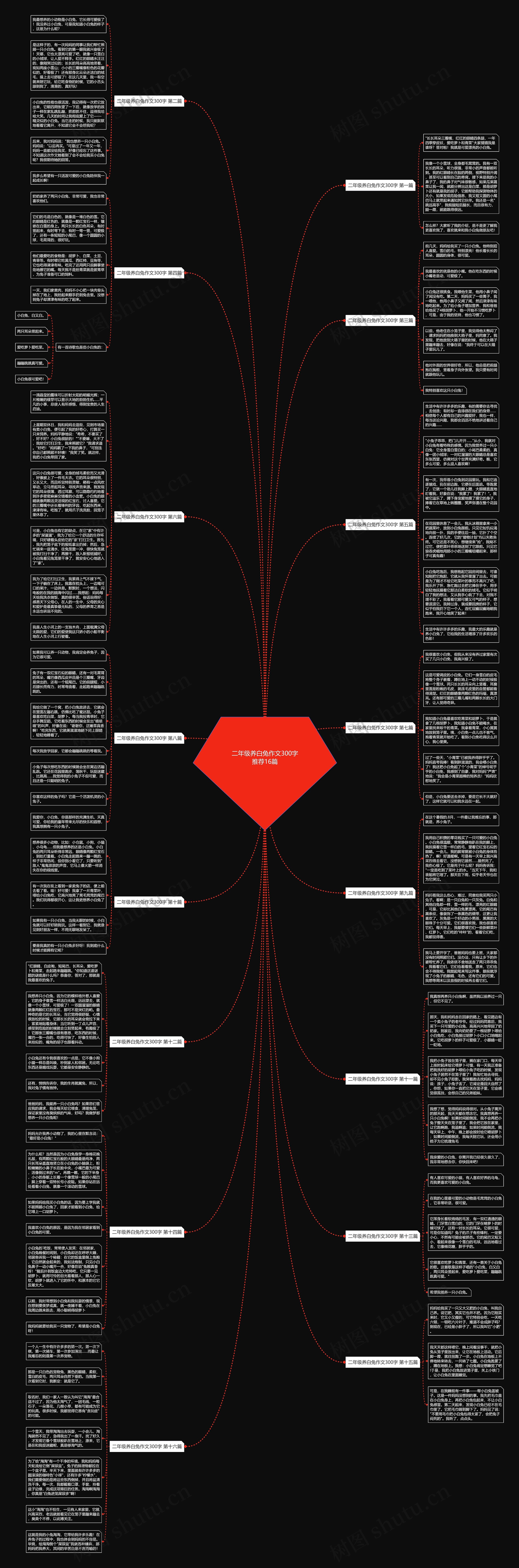 二年级养白兔作文300字推荐16篇思维导图