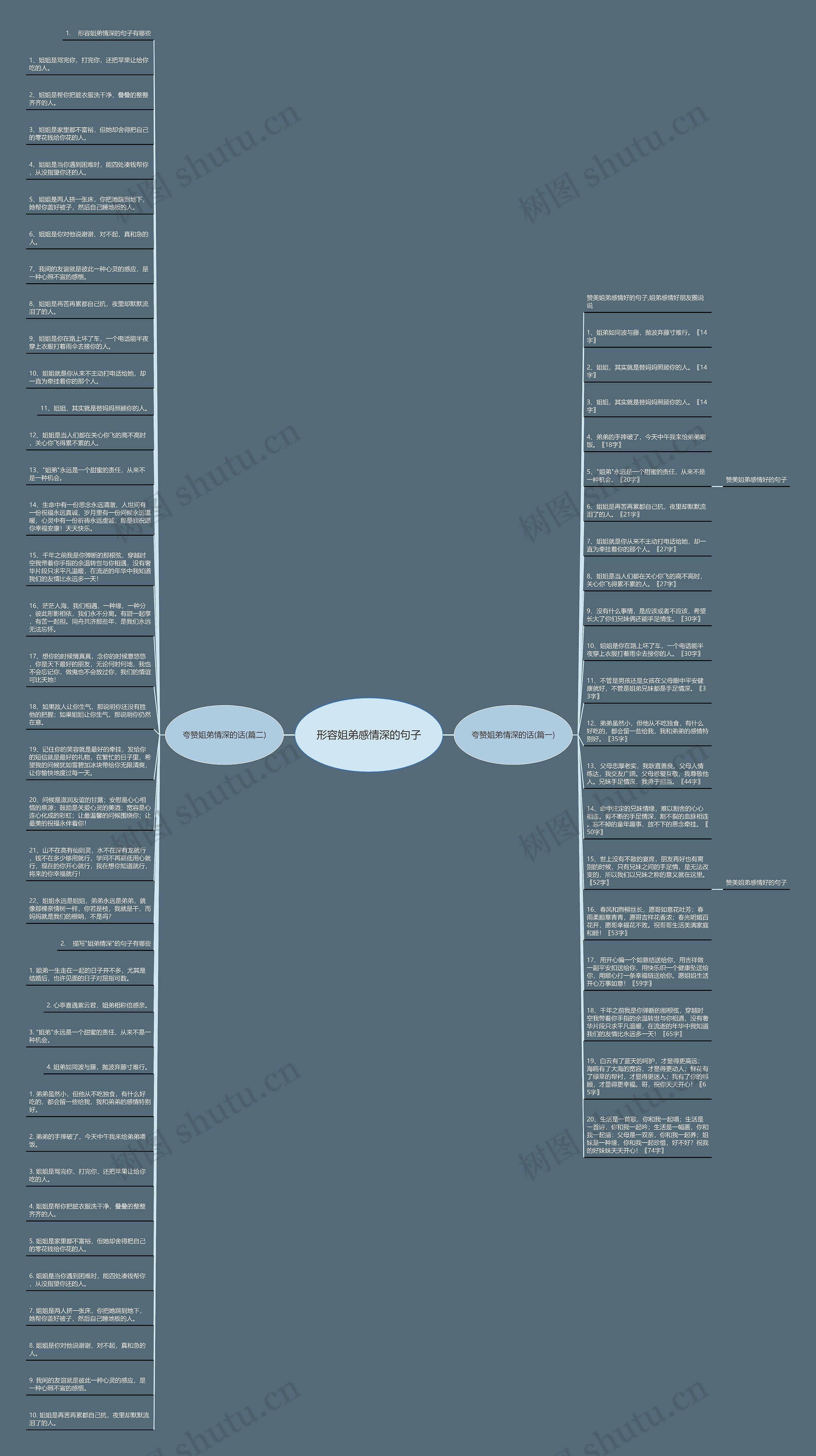 形容姐弟感情深的句子思维导图