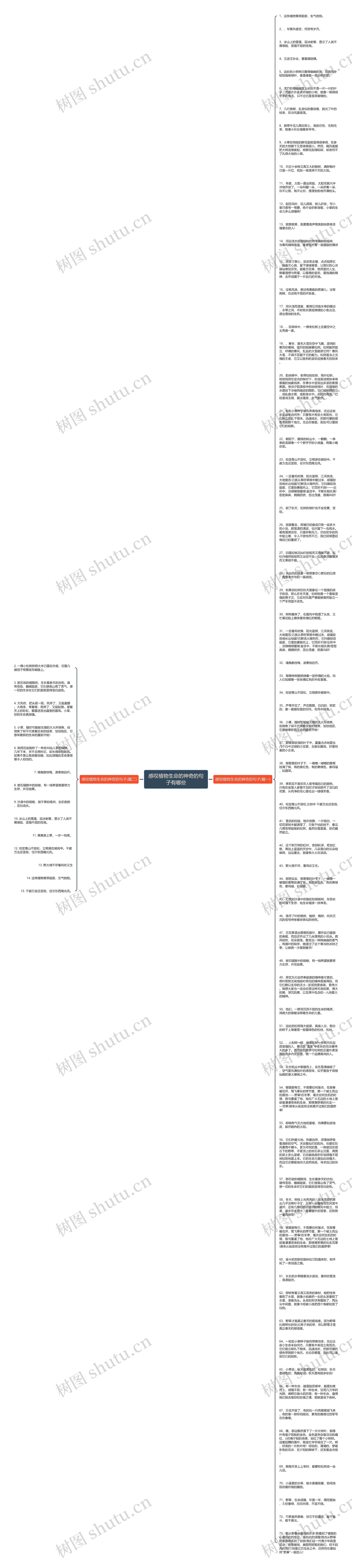 感叹植物生命的神奇的句子有哪些思维导图
