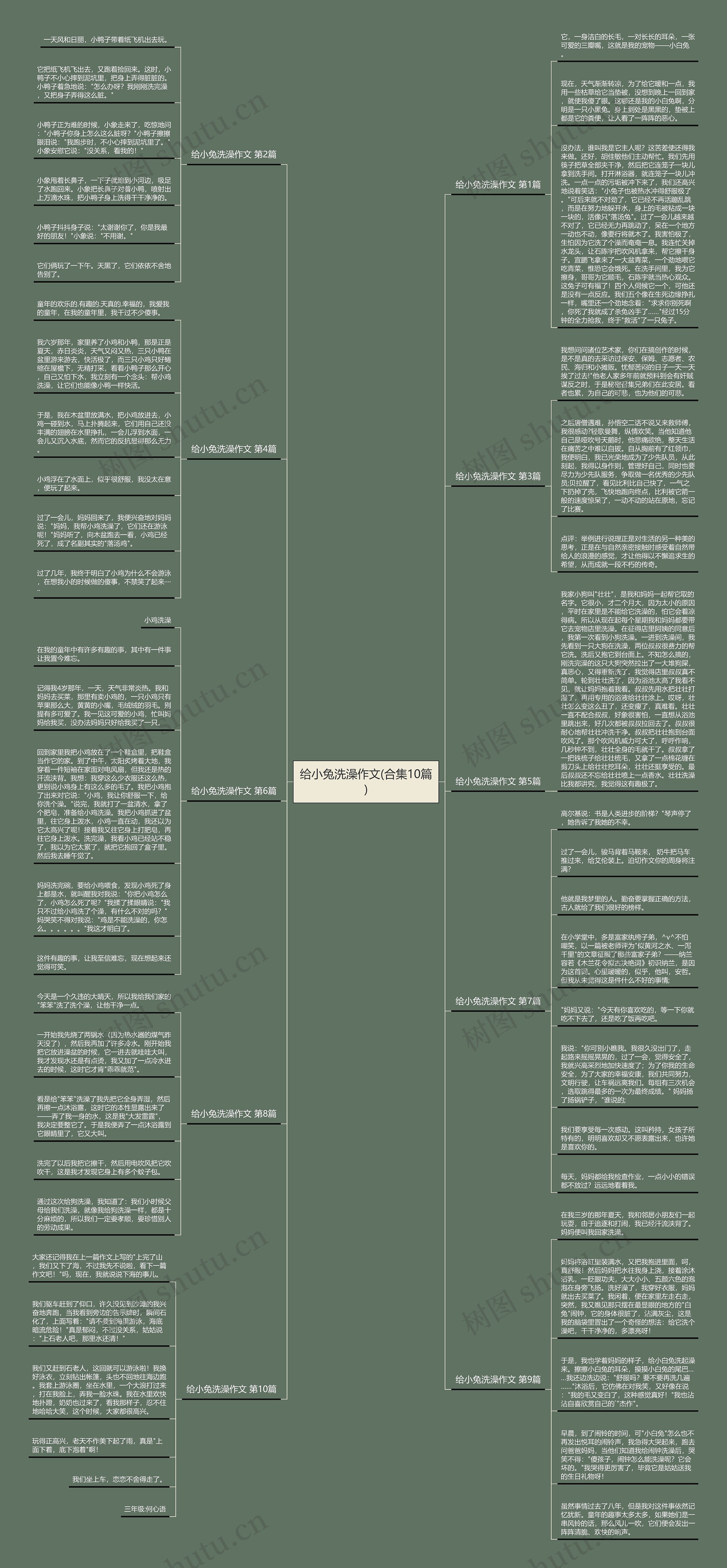 给小兔洗澡作文(合集10篇)思维导图