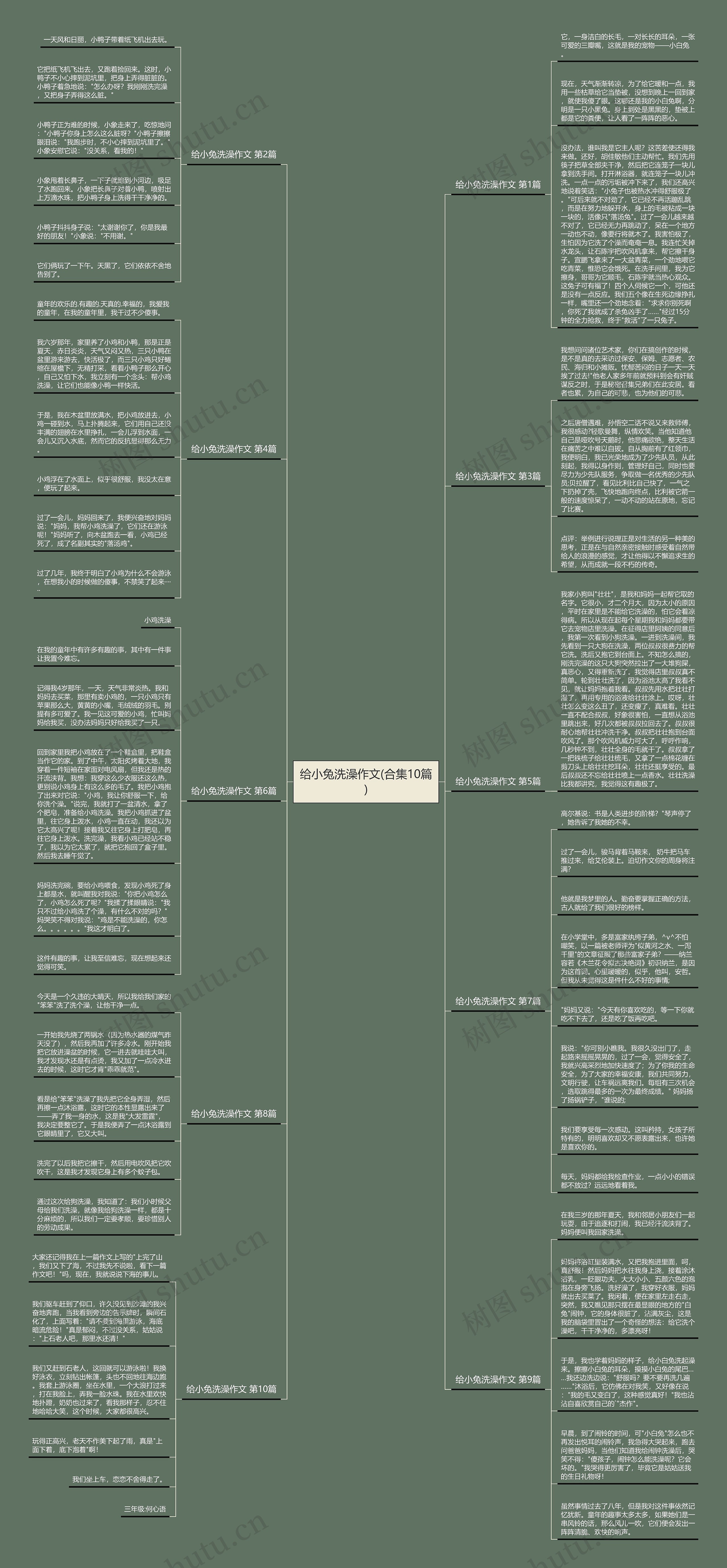给小兔洗澡作文(合集10篇) 给小兔洗澡作文(合集10篇)