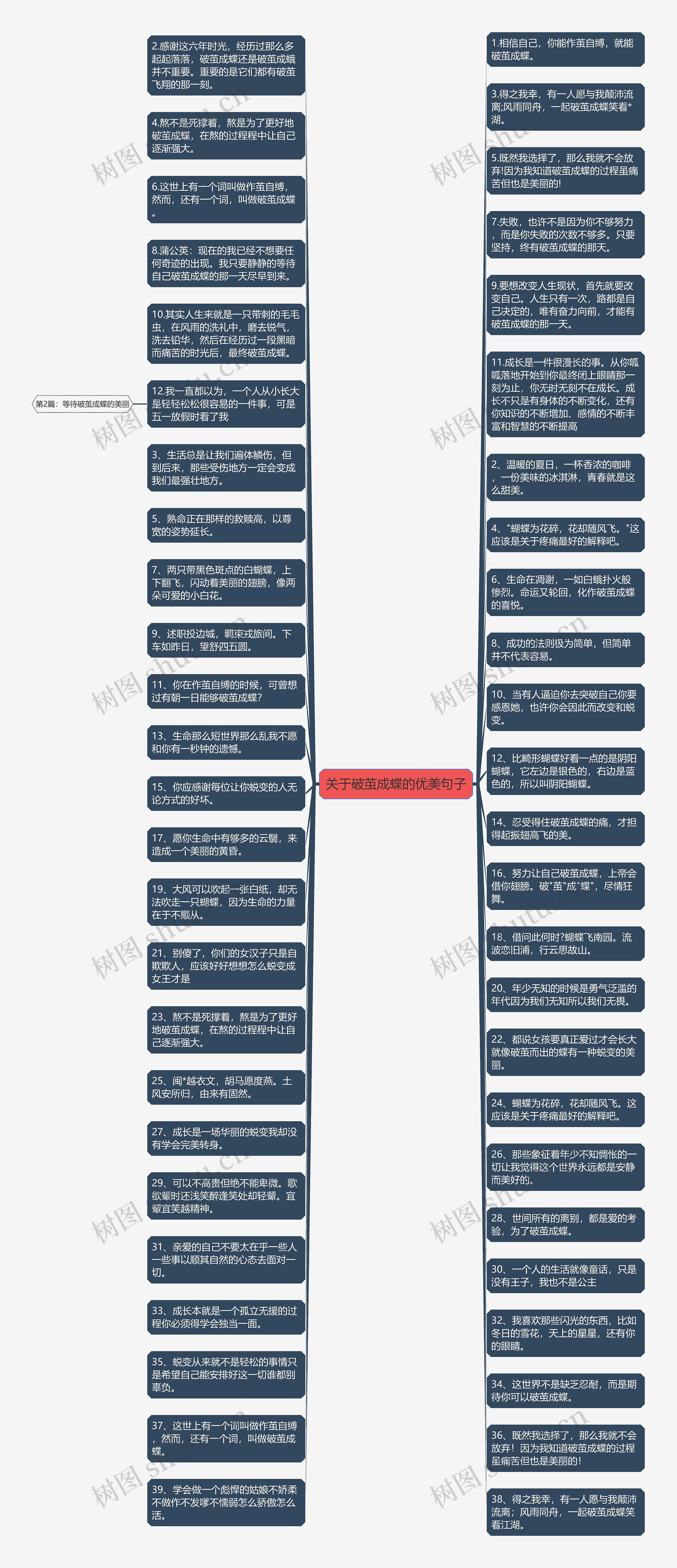 关于破茧成蝶的优美句子思维导图