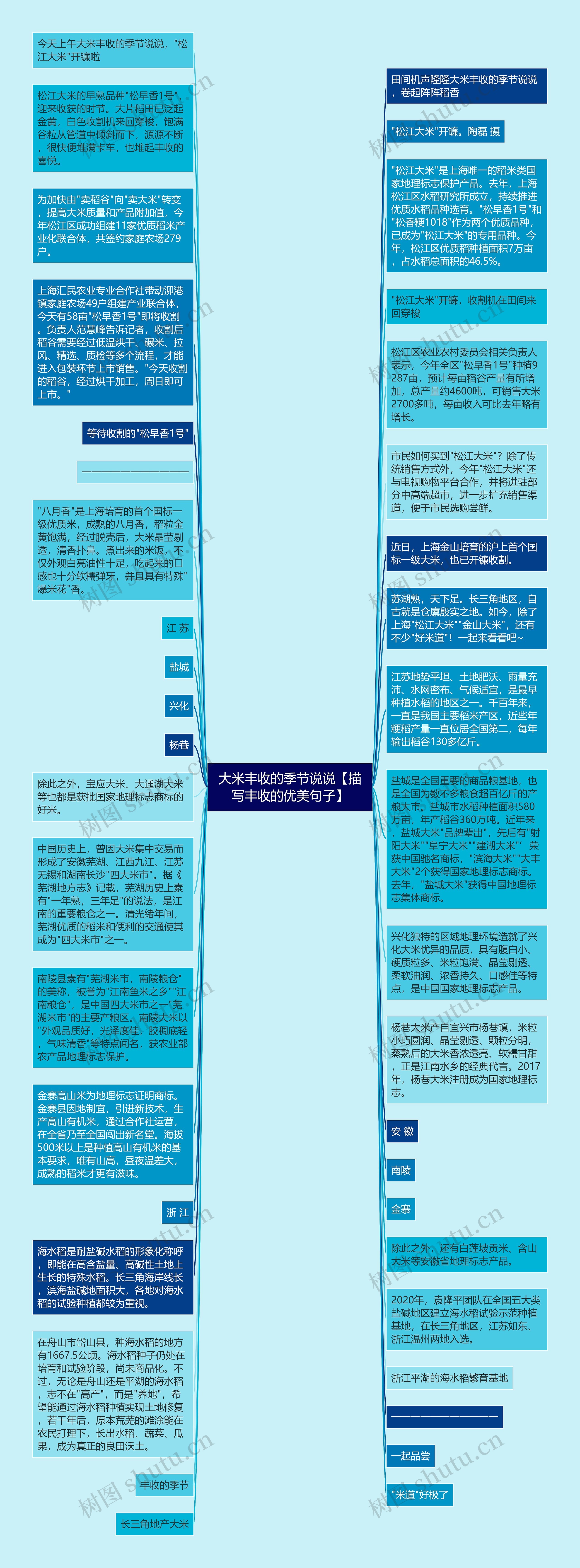 大米丰收的季节说说【描写丰收的优美句子】思维导图