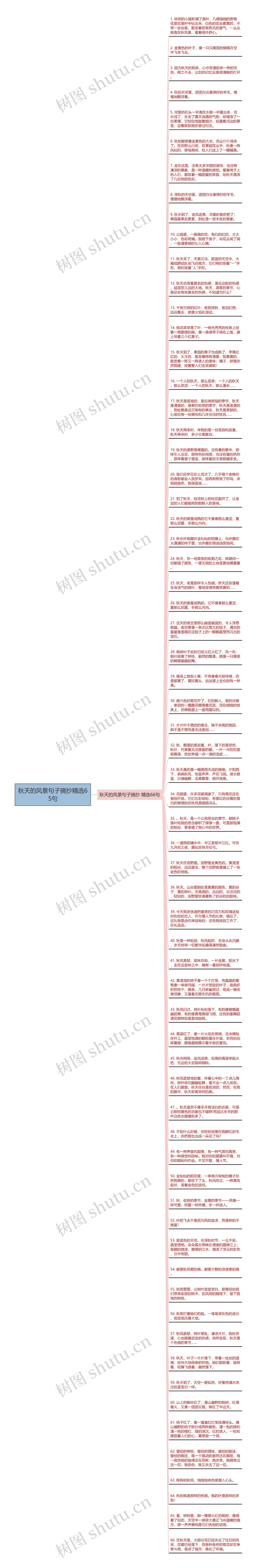 秋天的风景句子摘抄精选65句思维导图