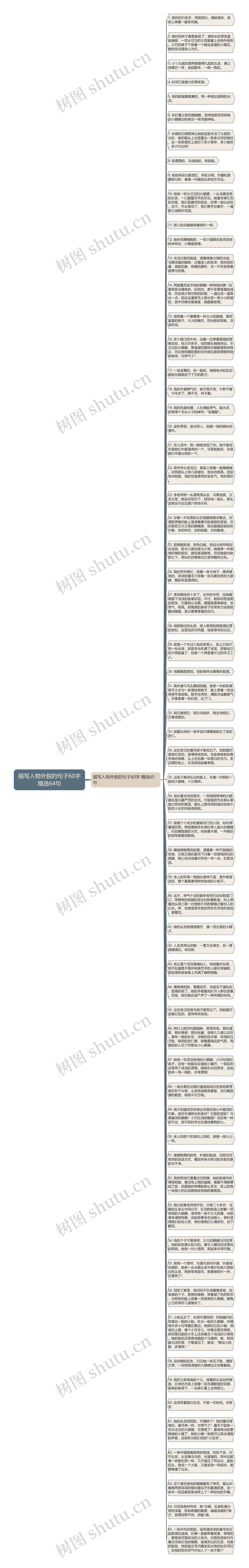 描写人物外貌的句子60字精选64句