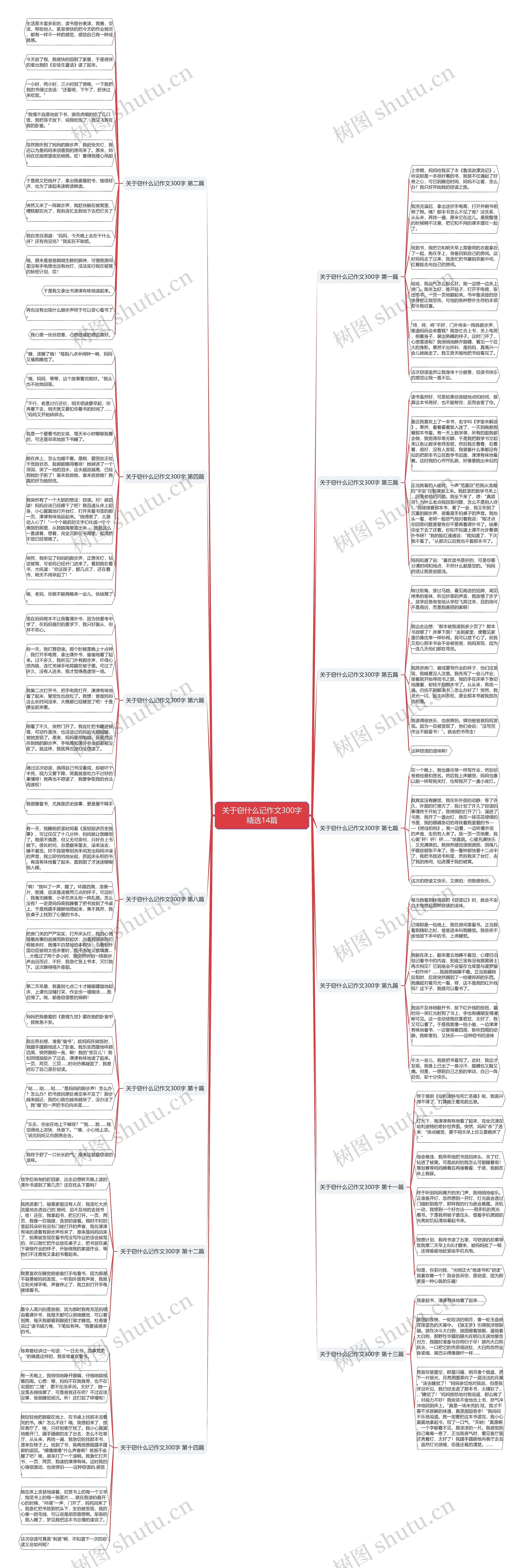 关于窃什么记作文300字精选14篇思维导图