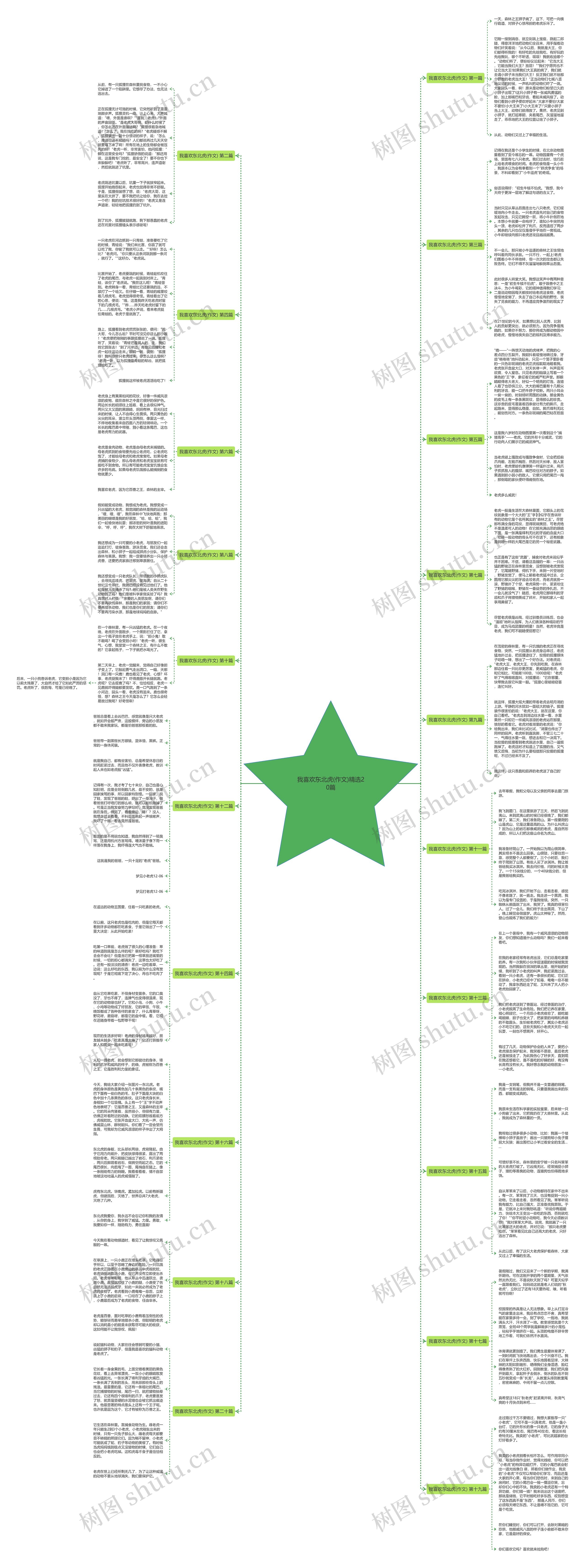 我喜欢东北虎(作文)精选20篇 我喜欢东北虎(作文)精选20篇
