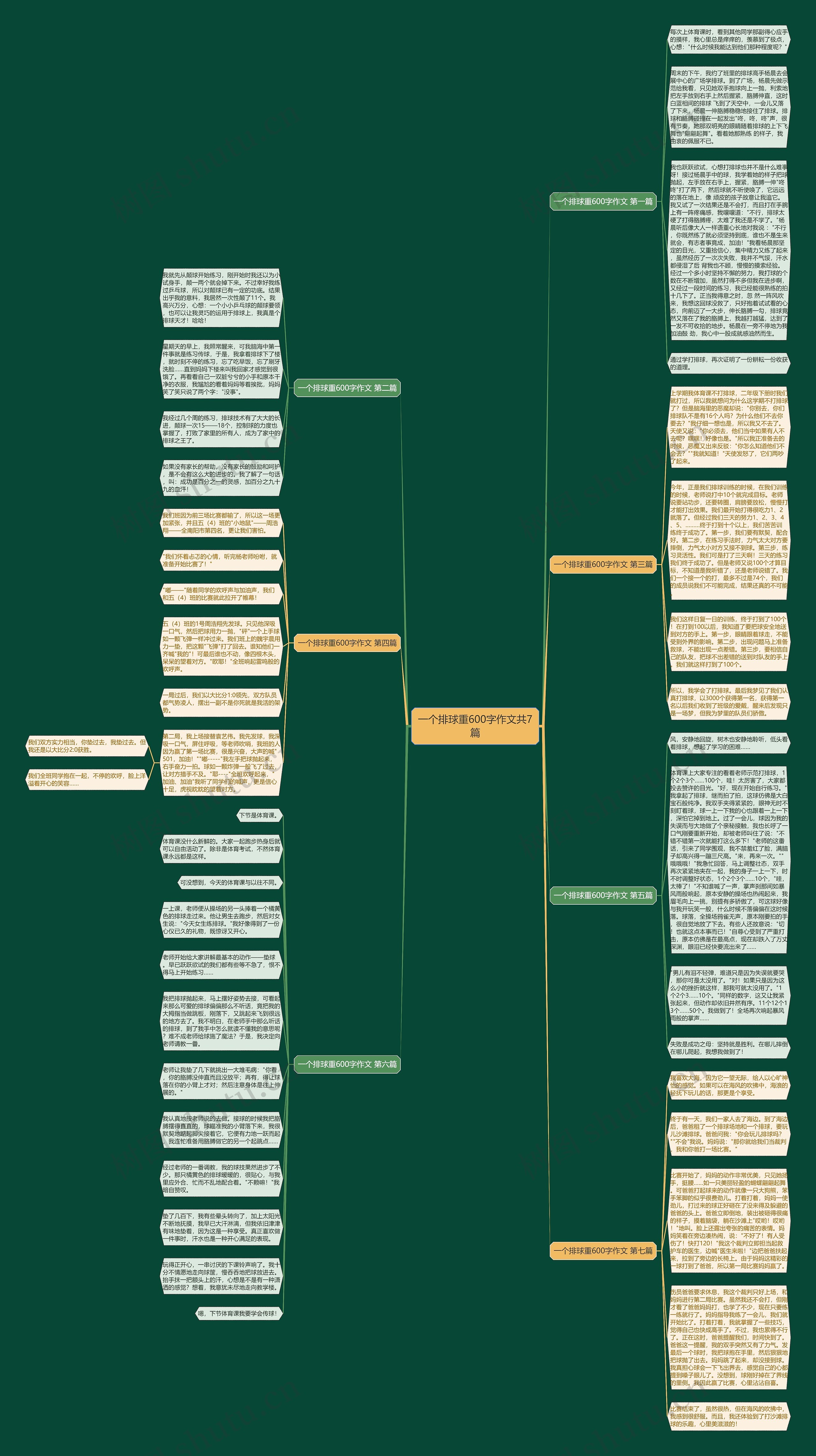一个排球重600字作文共7篇思维导图