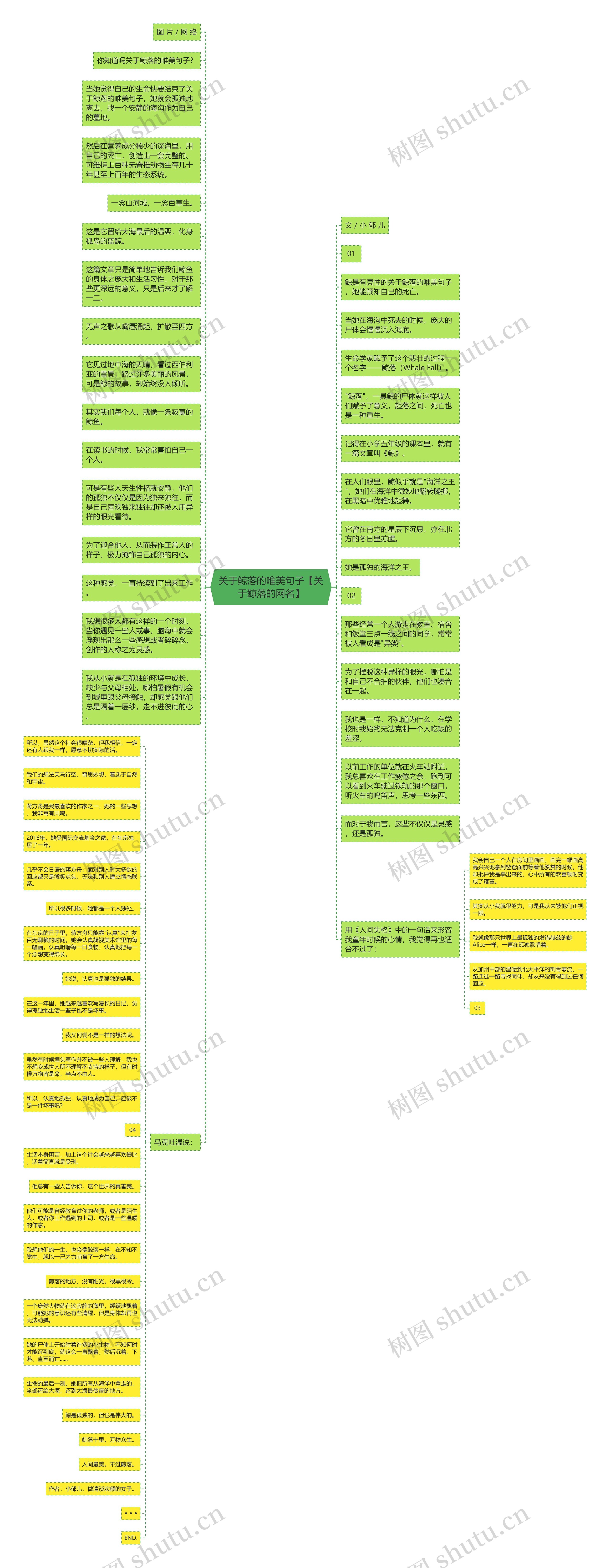 关于鲸落的唯美句子【关于鲸落的网名】