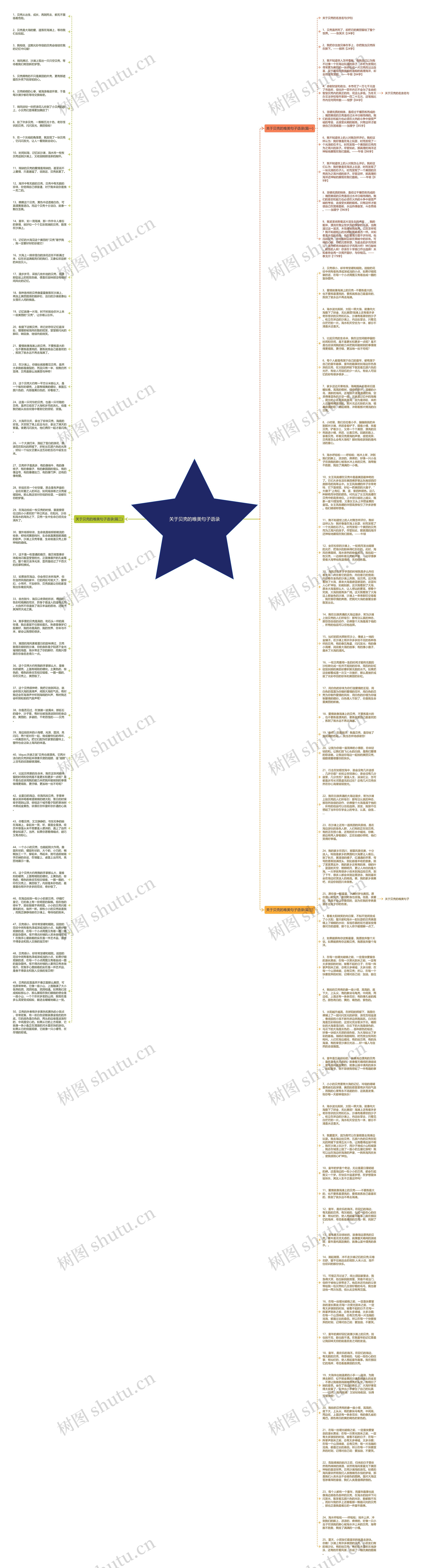 关于贝壳的唯美句子语录思维导图