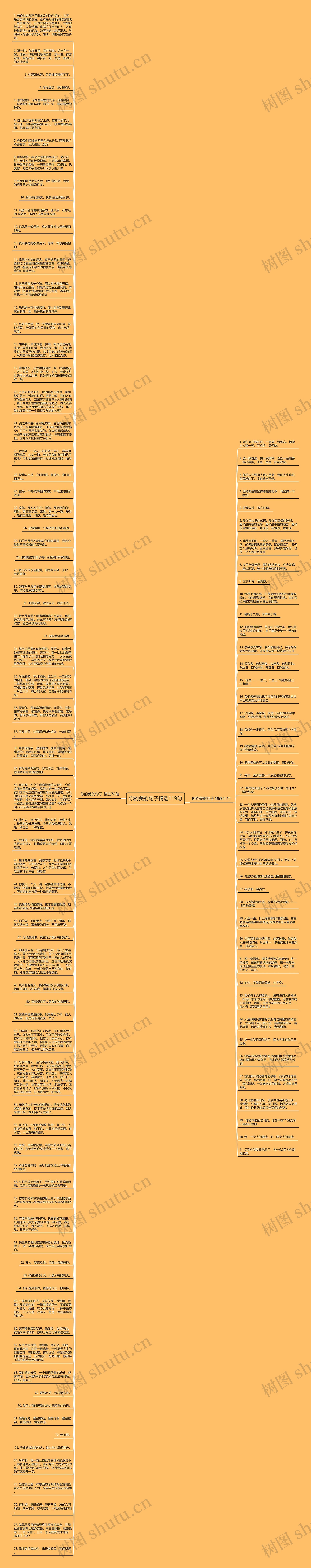 你的美的句子精选119句思维导图