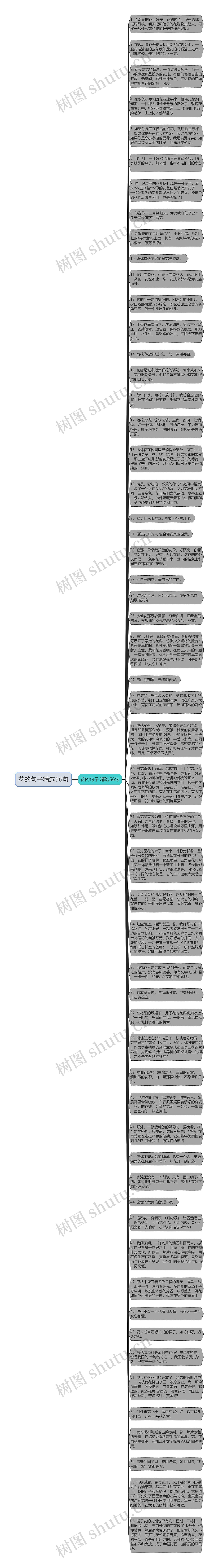 花的句子精选56句思维导图