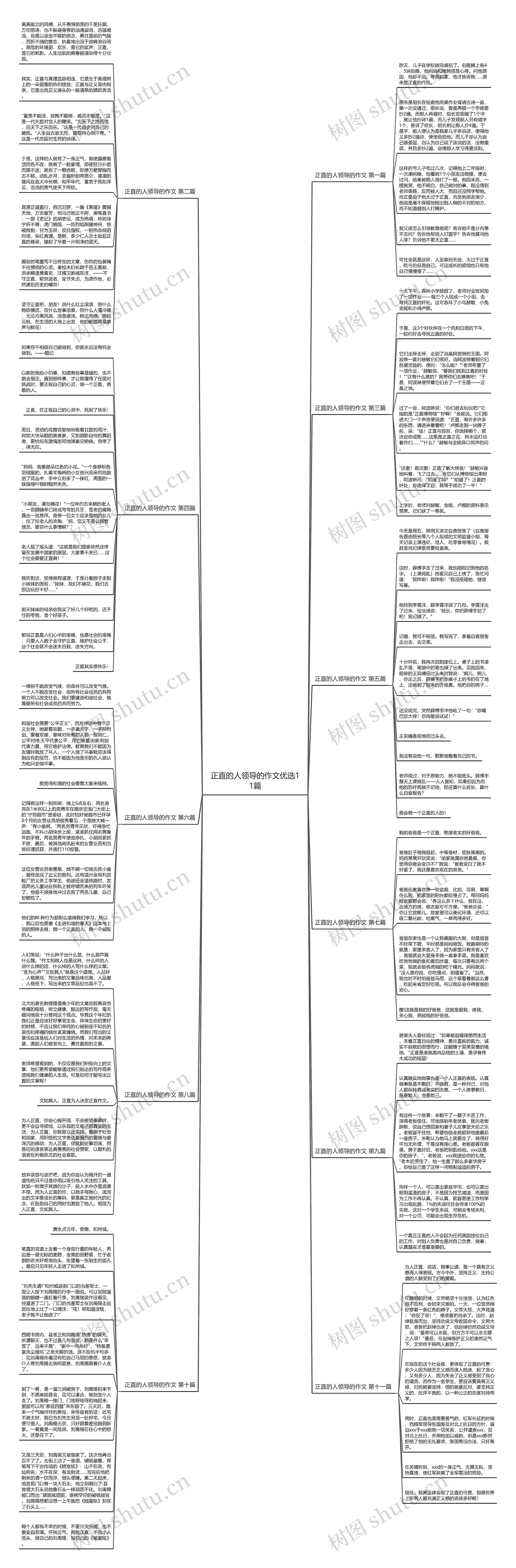 正直的人领导的作文优选11篇思维导图