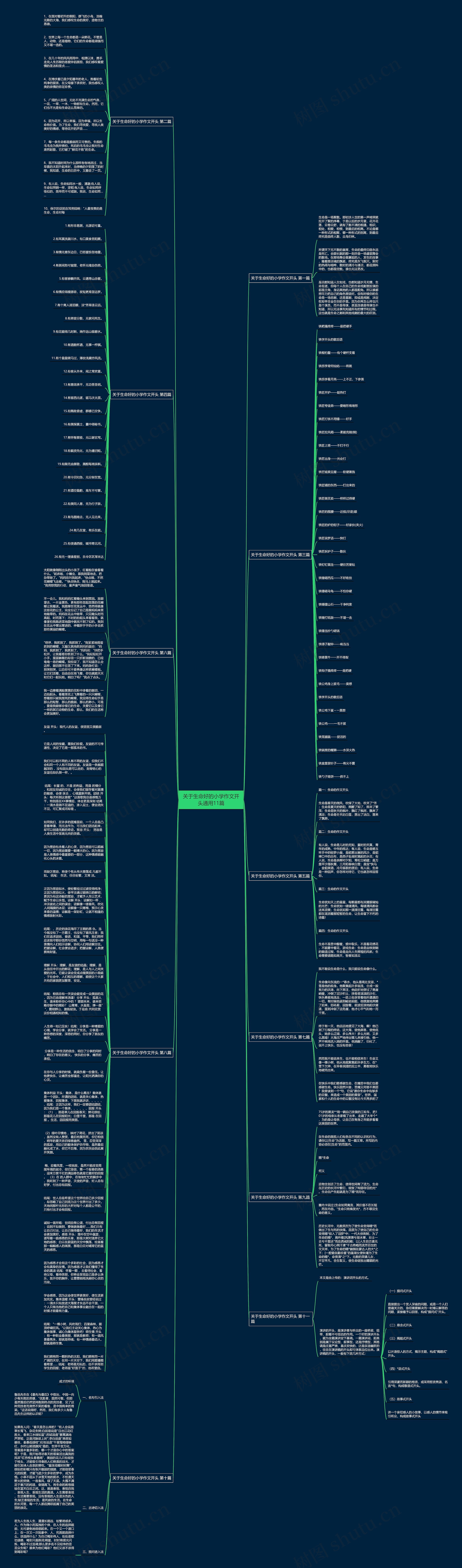 关于生命好的小学作文开头通用11篇思维导图