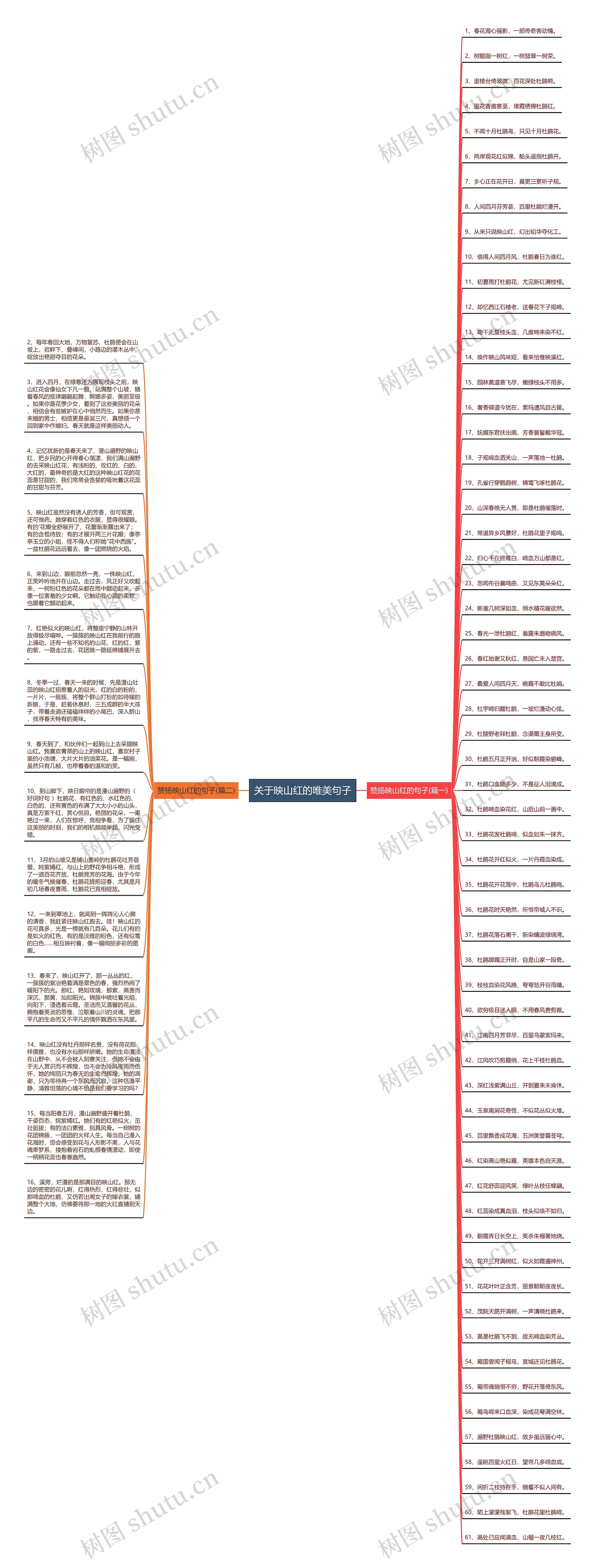 关于映山红的唯美句子思维导图