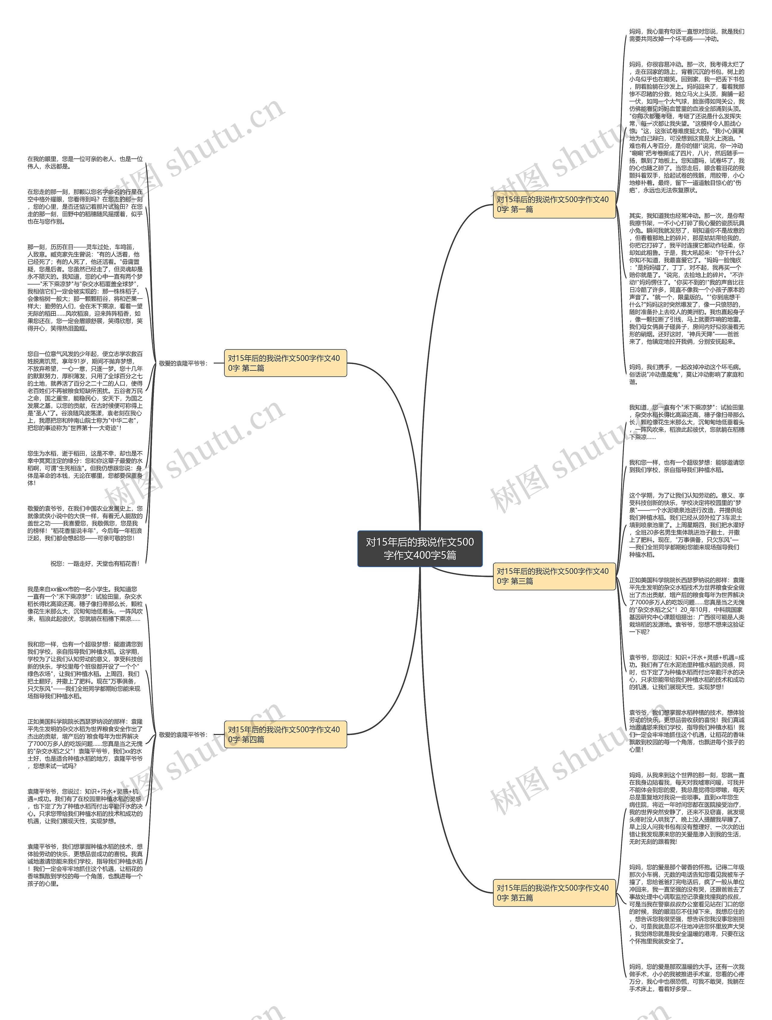 对15年后的我说作文500字作文400字5篇思维导图