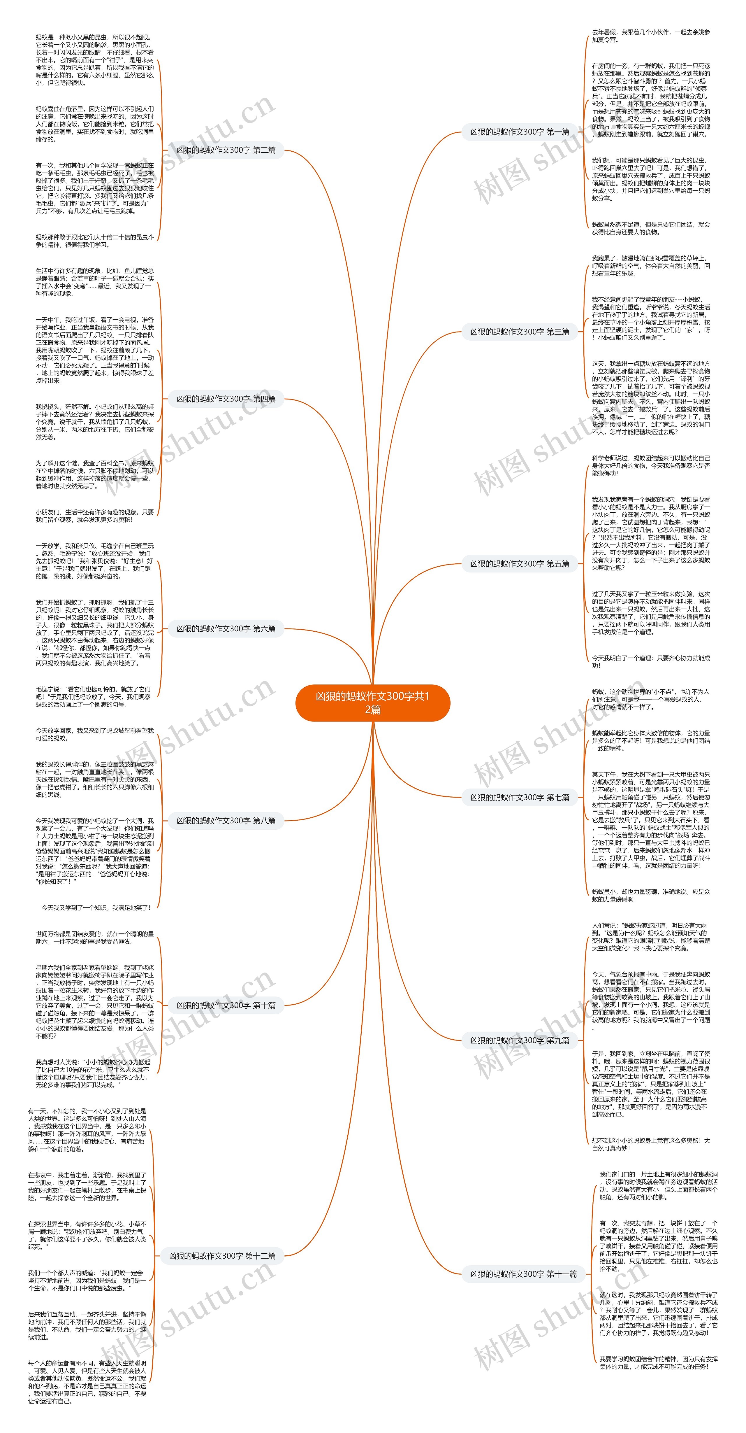 凶狠的蚂蚁作文300字共12篇思维导图