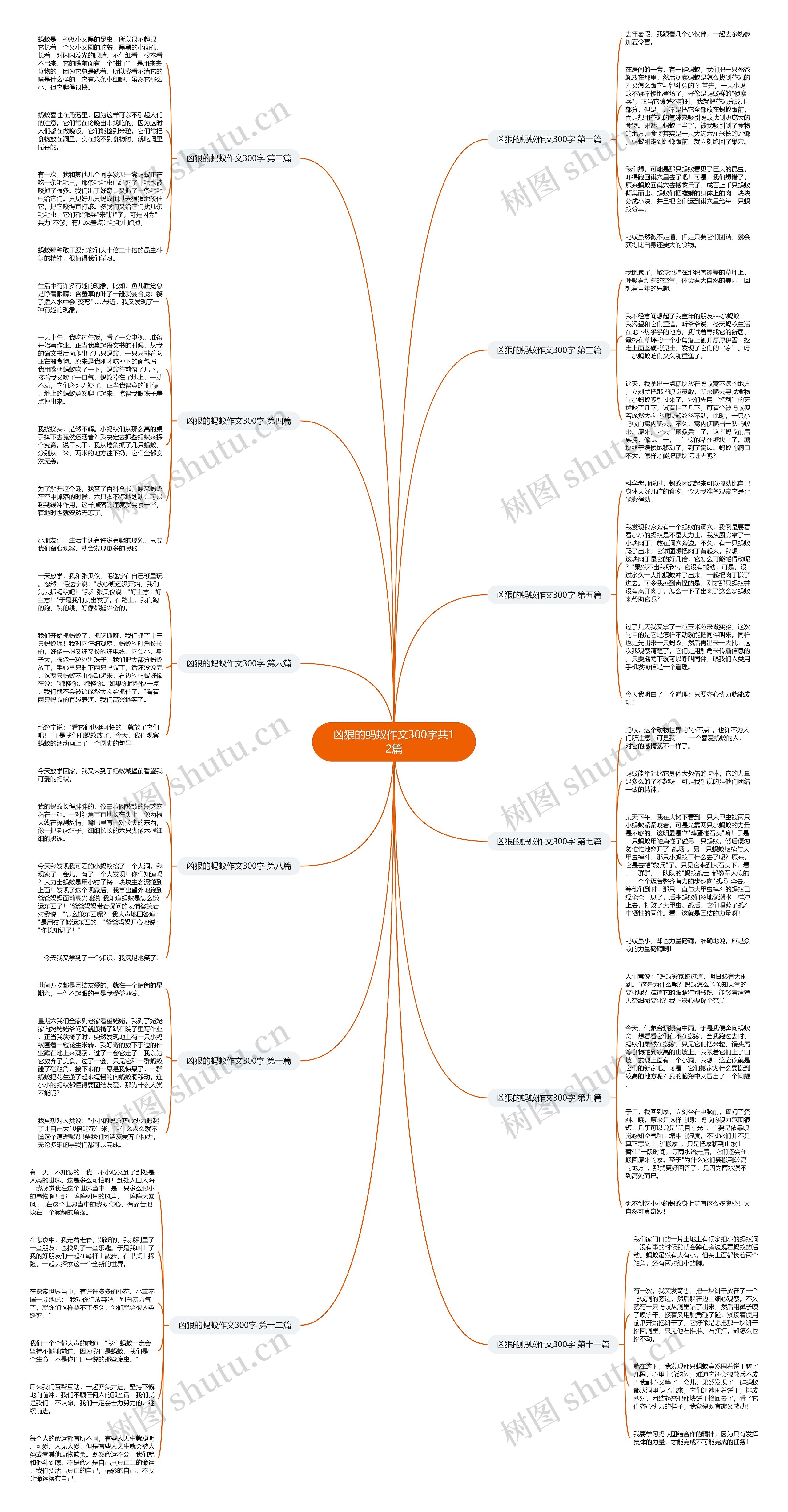 凶狠的蚂蚁作文300字共12篇 凶狠的蚂蚁作文300字共12篇