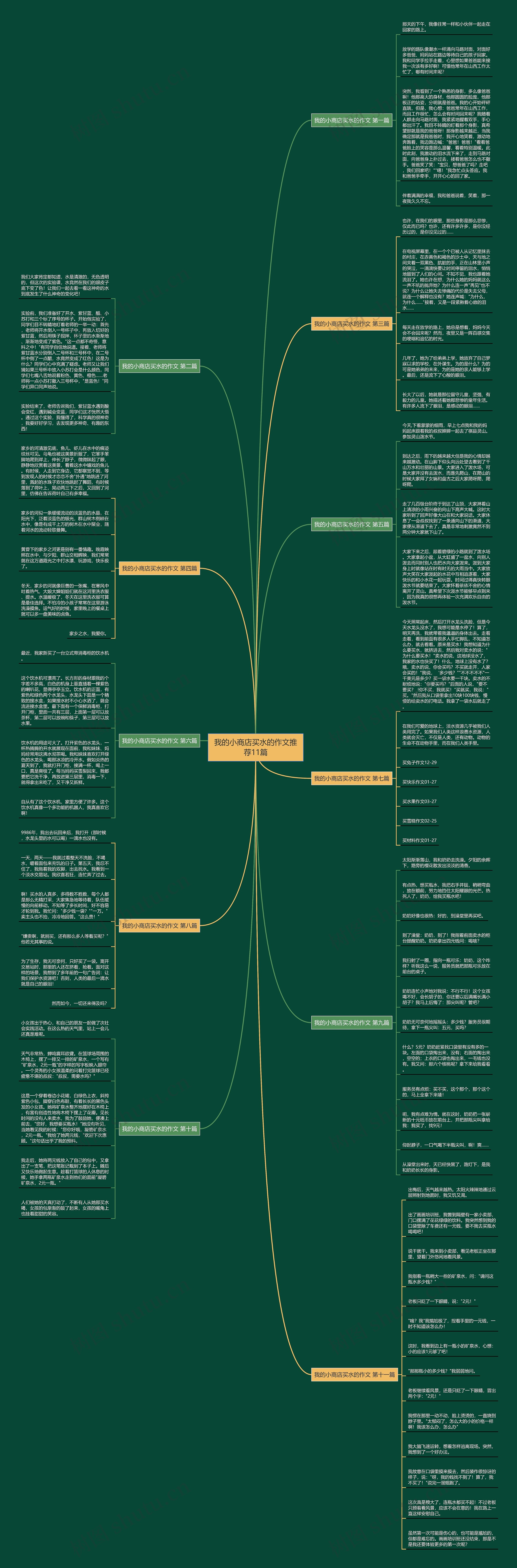 我的小商店买水的作文推荐11篇思维导图