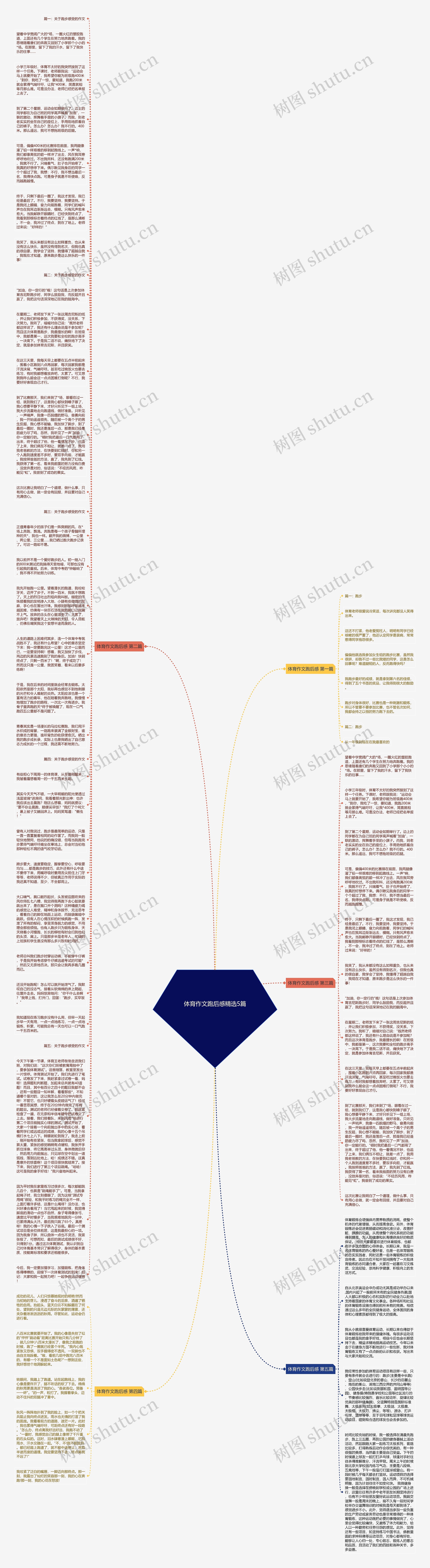 体育作文跑后感精选5篇思维导图