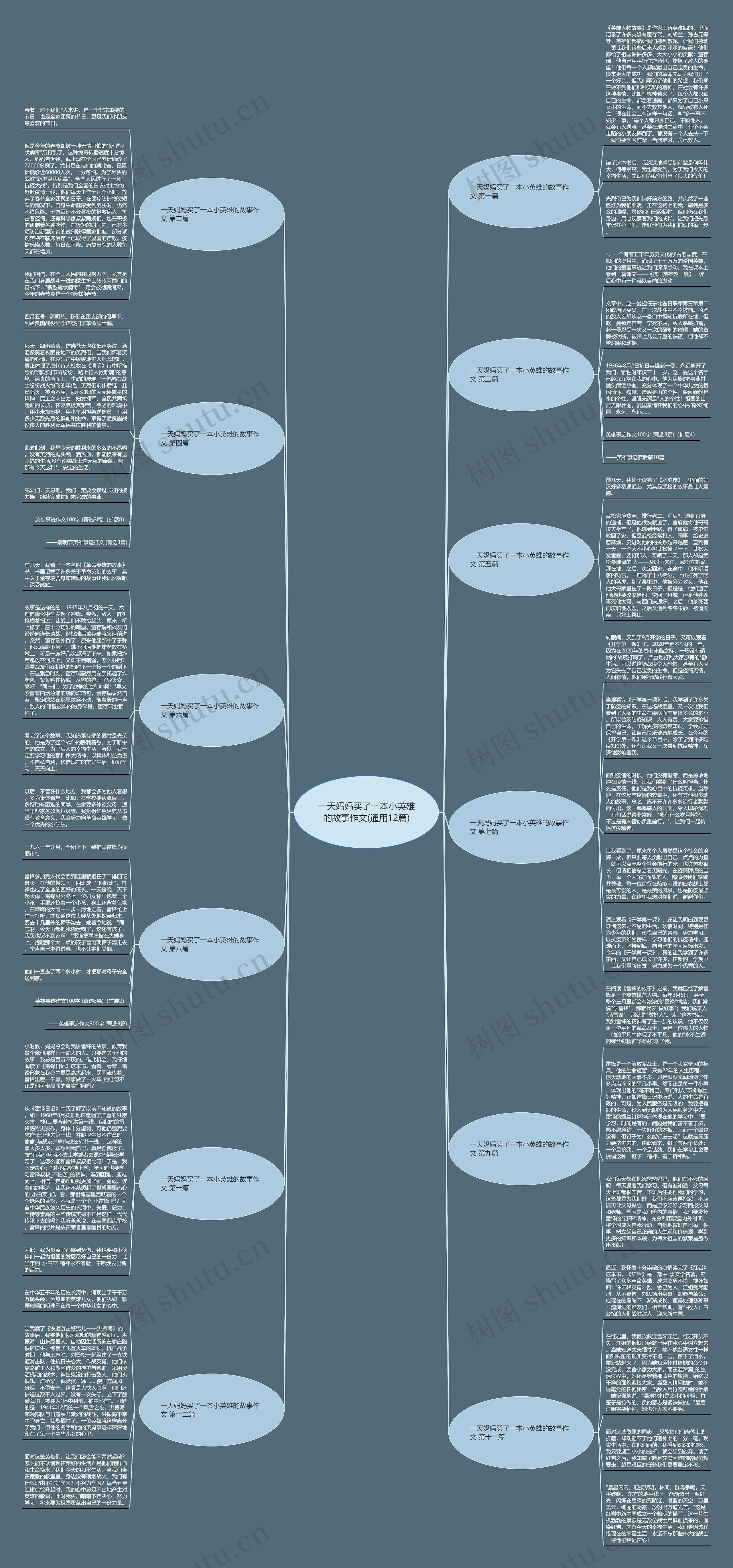 一天妈妈买了一本小英雄的故事作文(通用12篇)思维导图