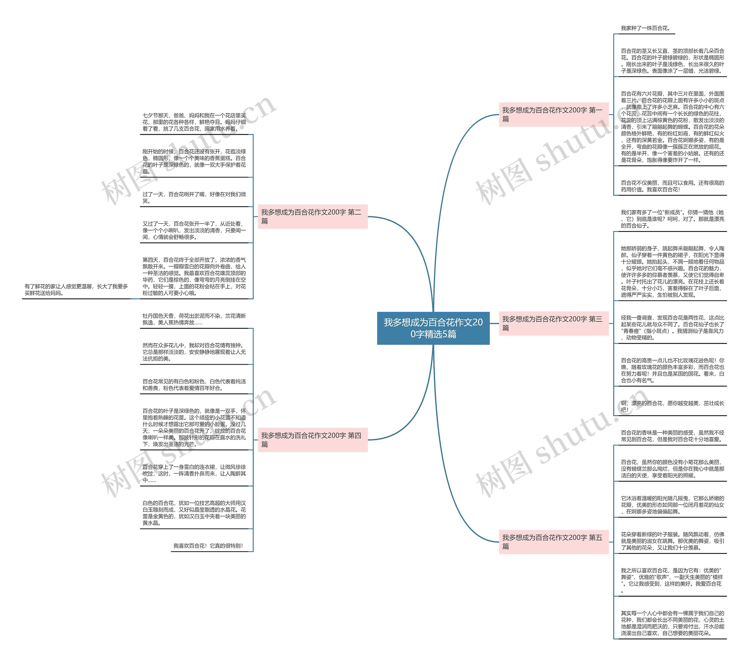 我多想成为百合花作文200字精选5篇思维导图
