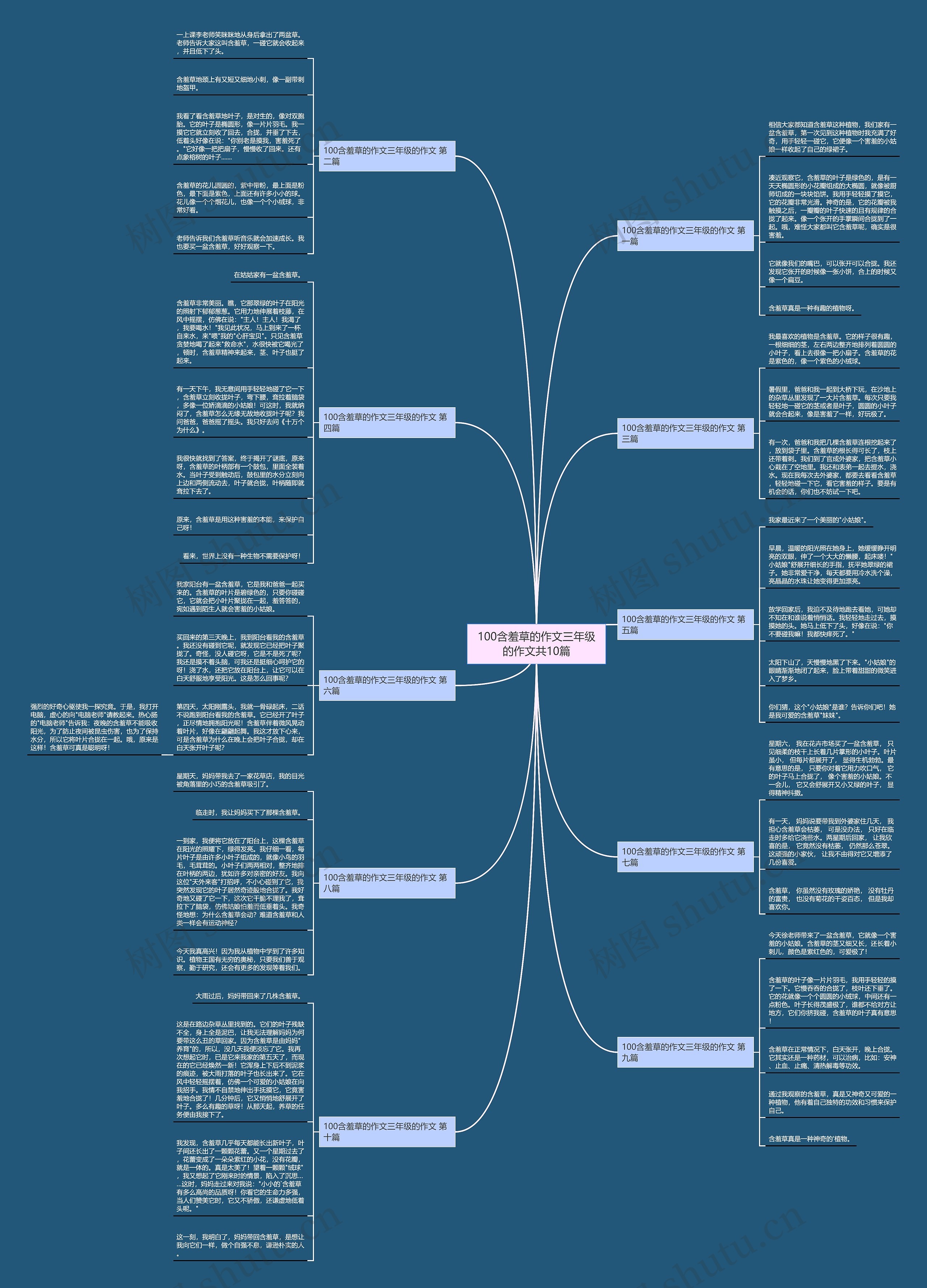 100含羞草的作文三年级的作文共10篇思维导图