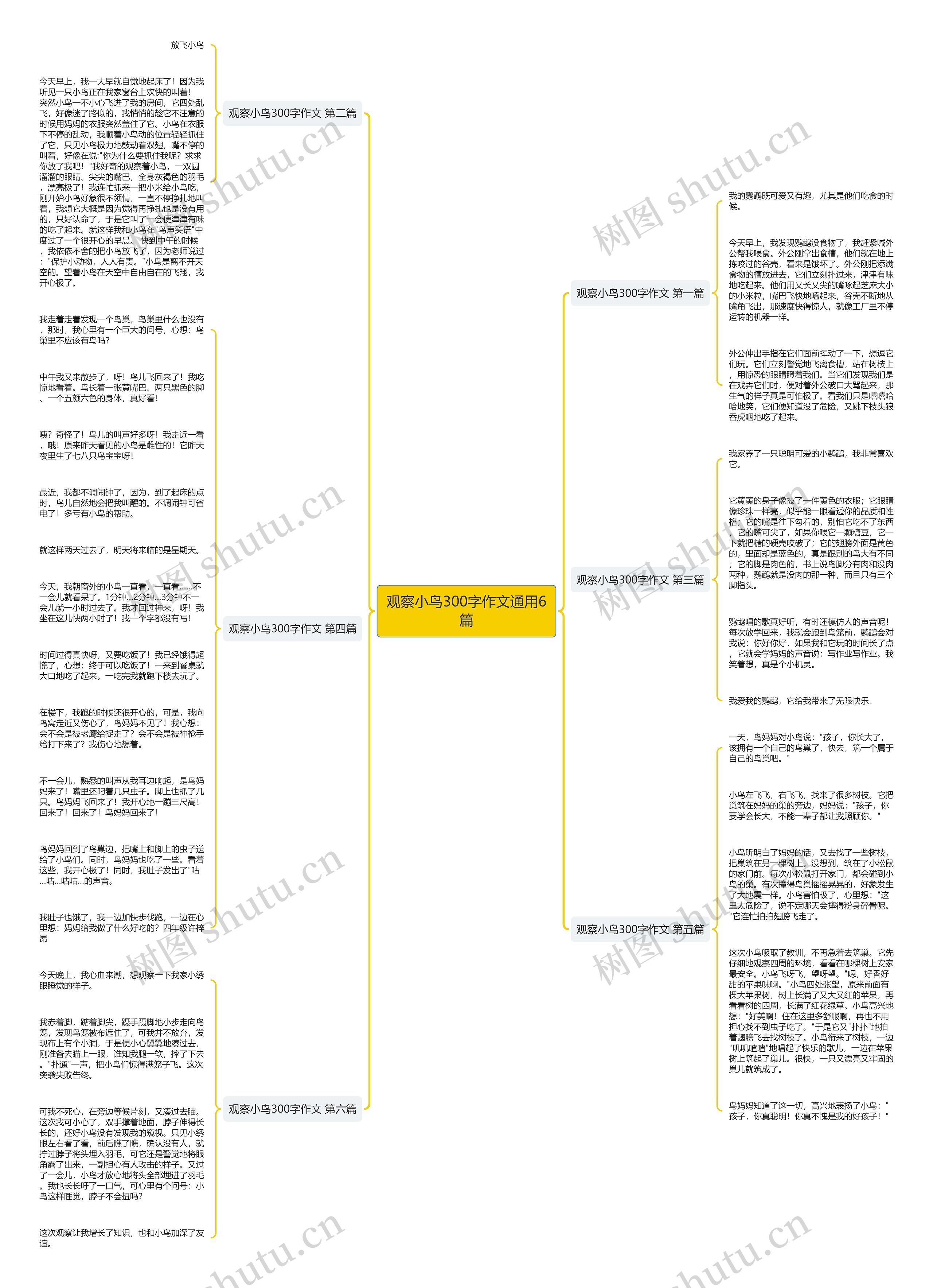 观察小鸟300字作文通用6篇思维导图