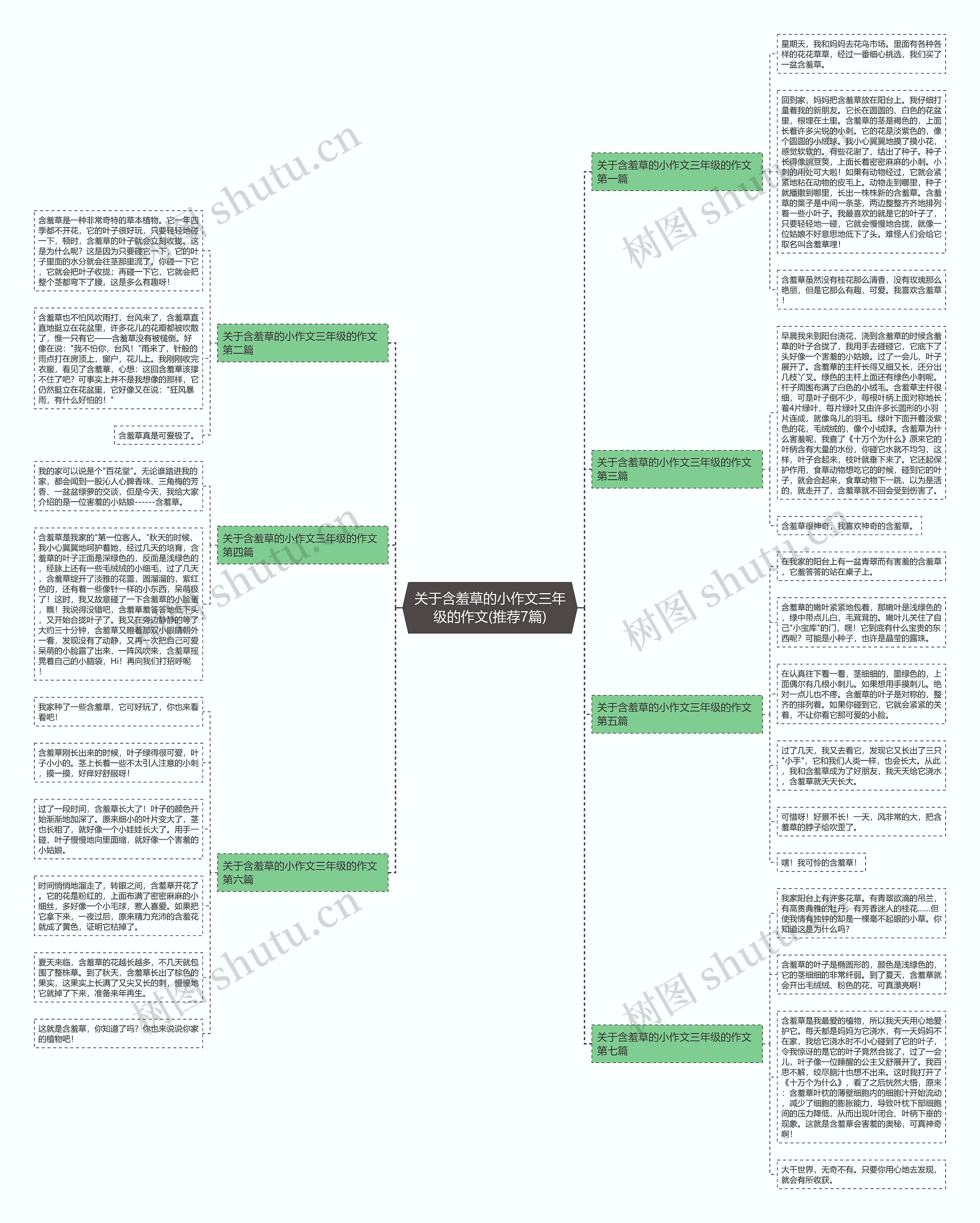 关于含羞草的小作文三年级的作文(推荐7篇)思维导图