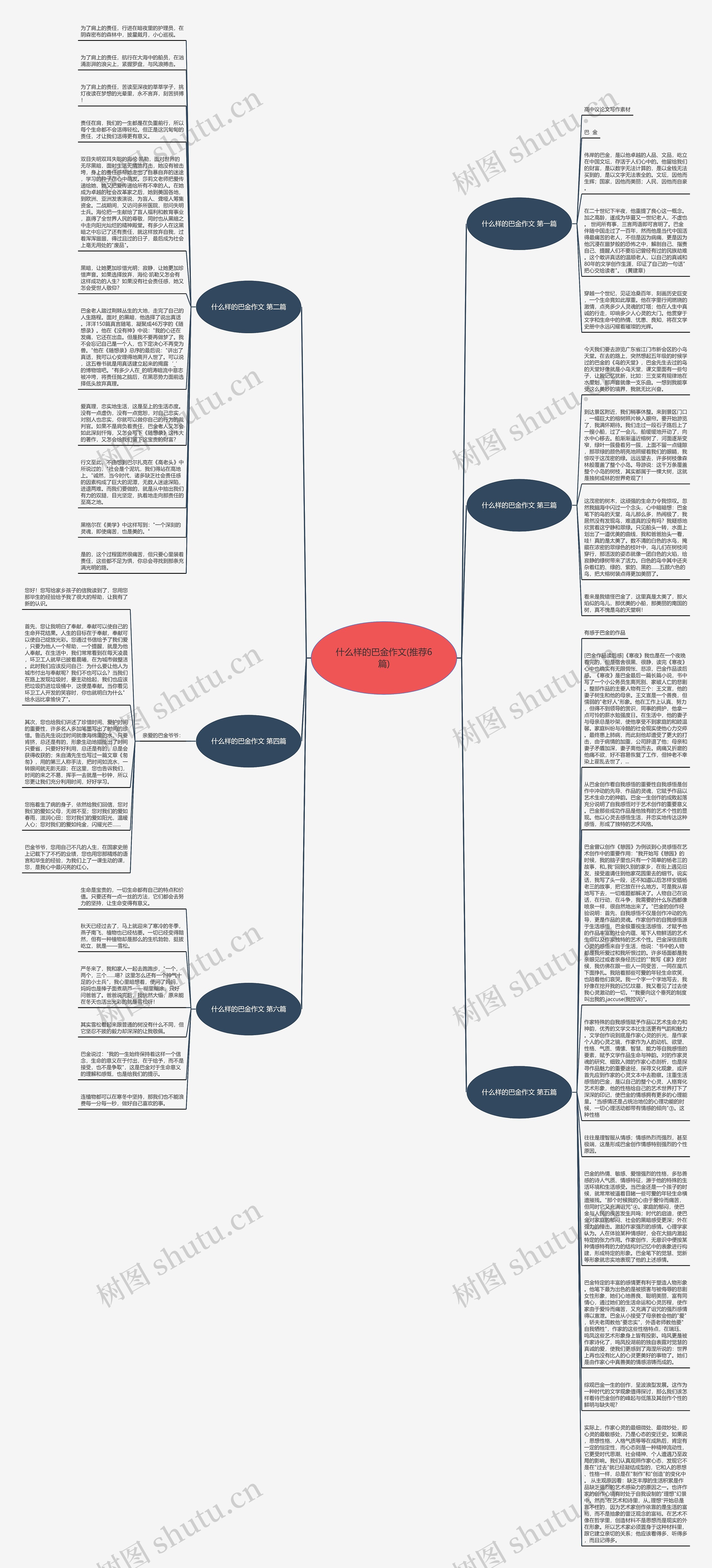 什么样的巴金作文(推荐6篇)思维导图